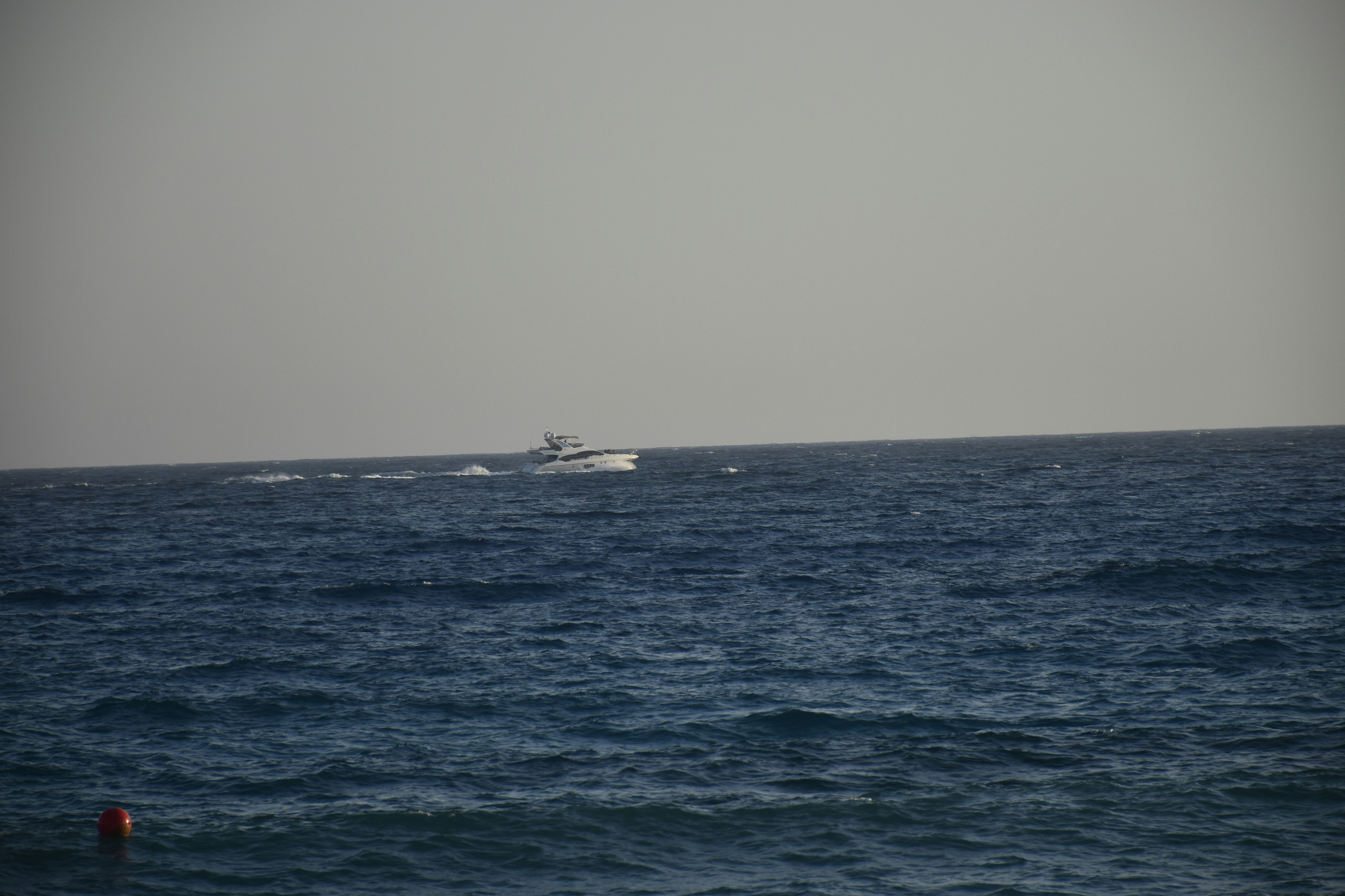 Photo by znphotogarphy