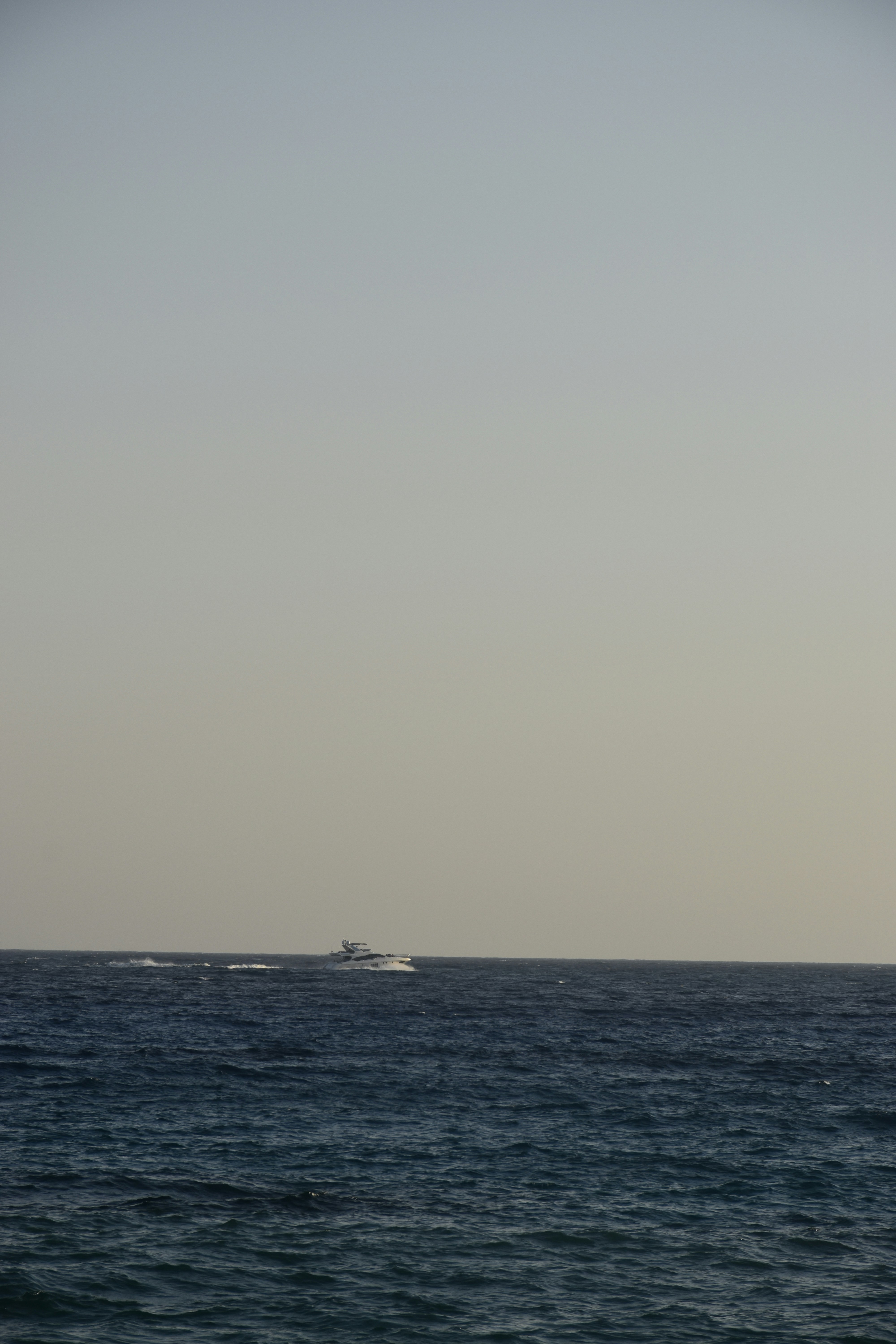 Photo by znphotogarphy