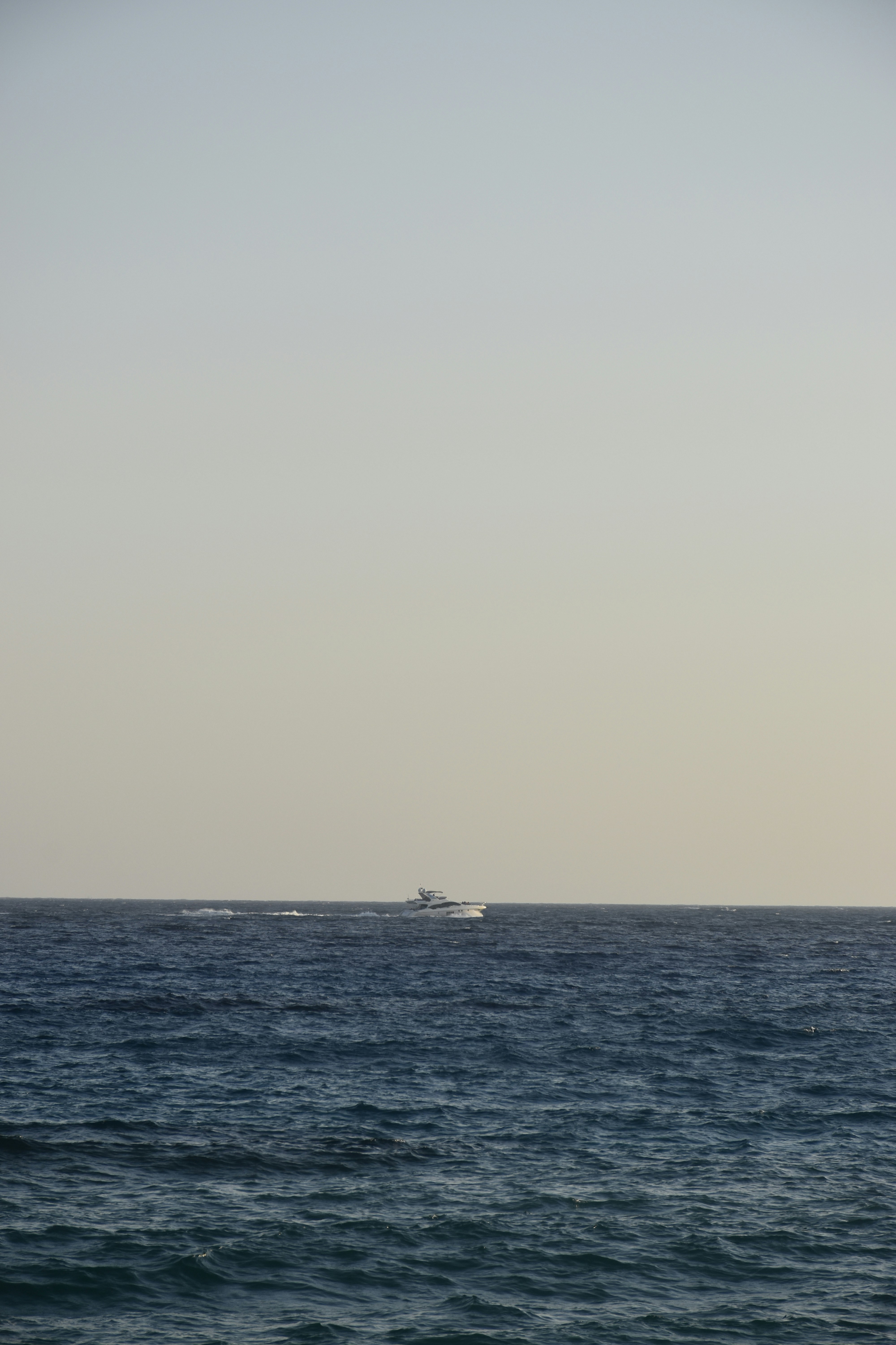 Photo by znphotogarphy