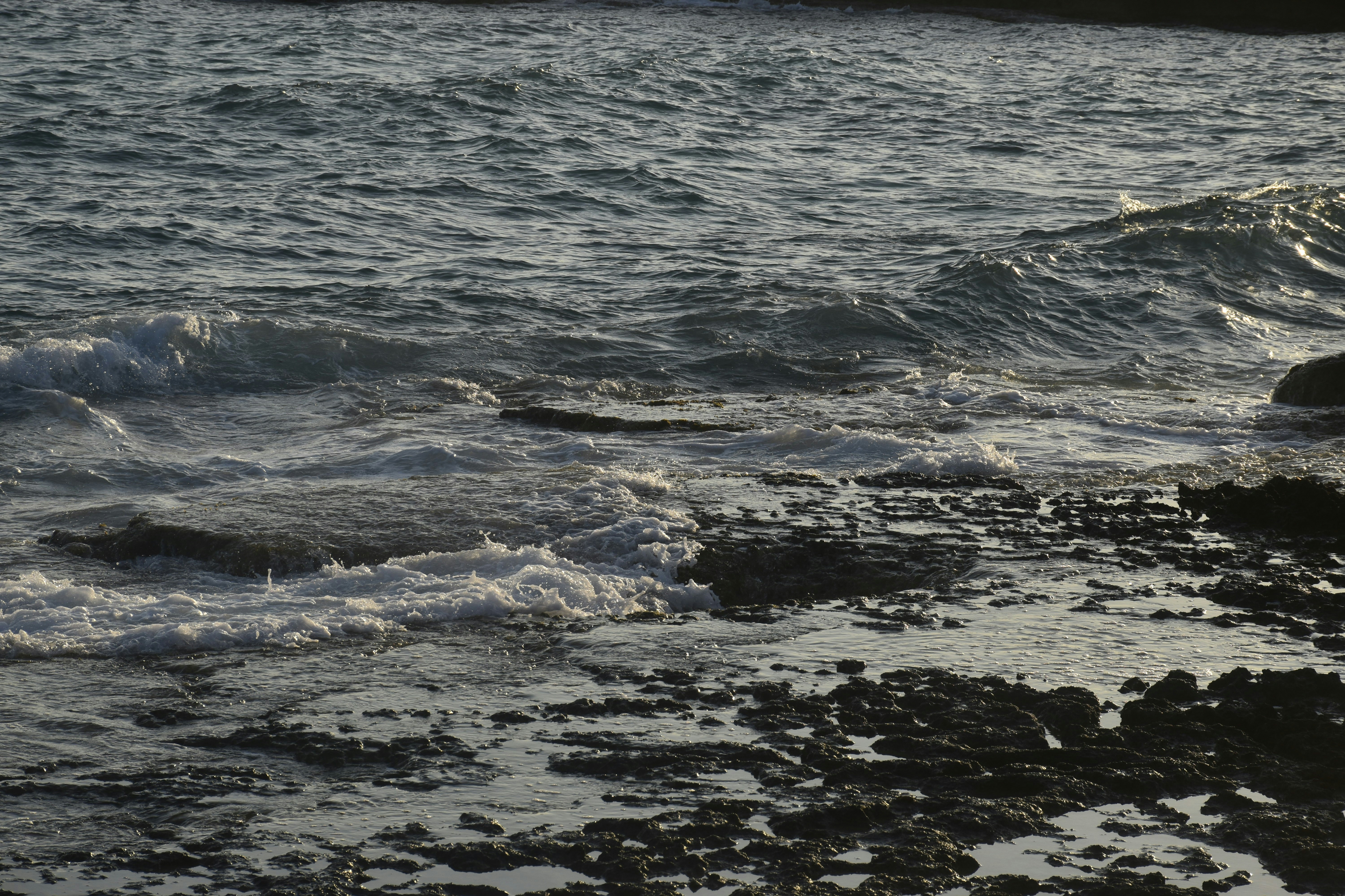 Photo by znphotogarphy