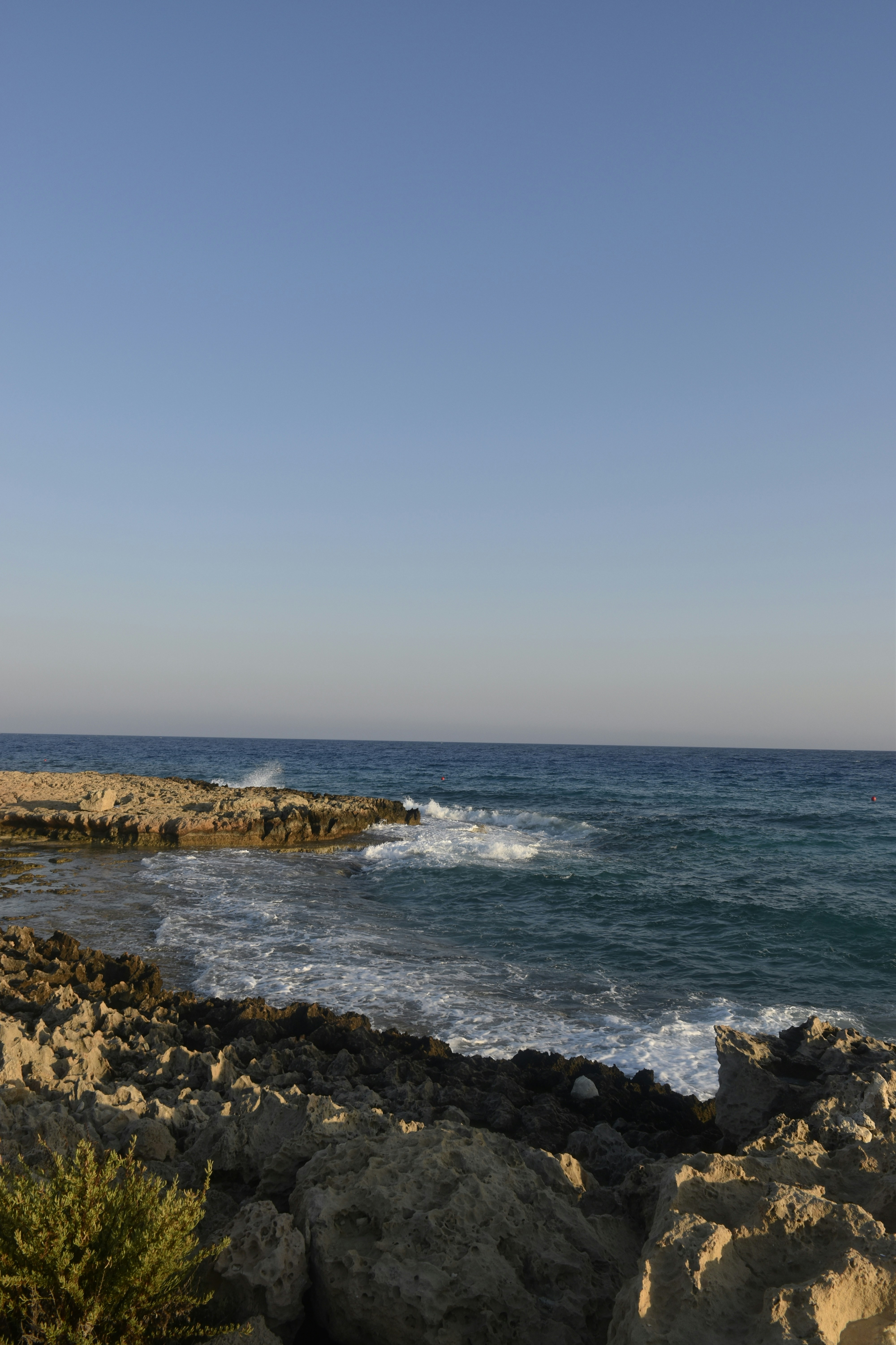 Photo by znphotogarphy