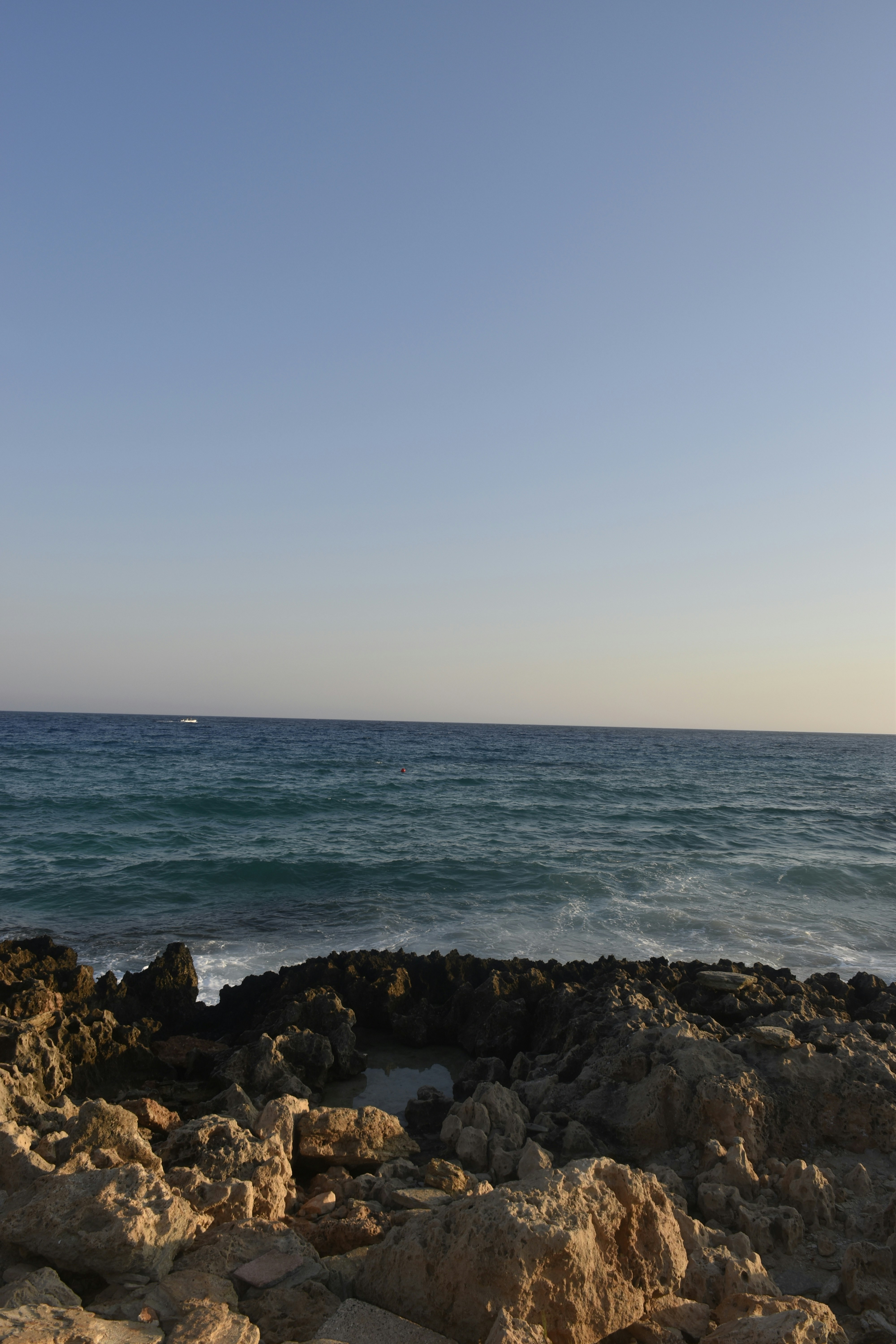 Photo by znphotogarphy