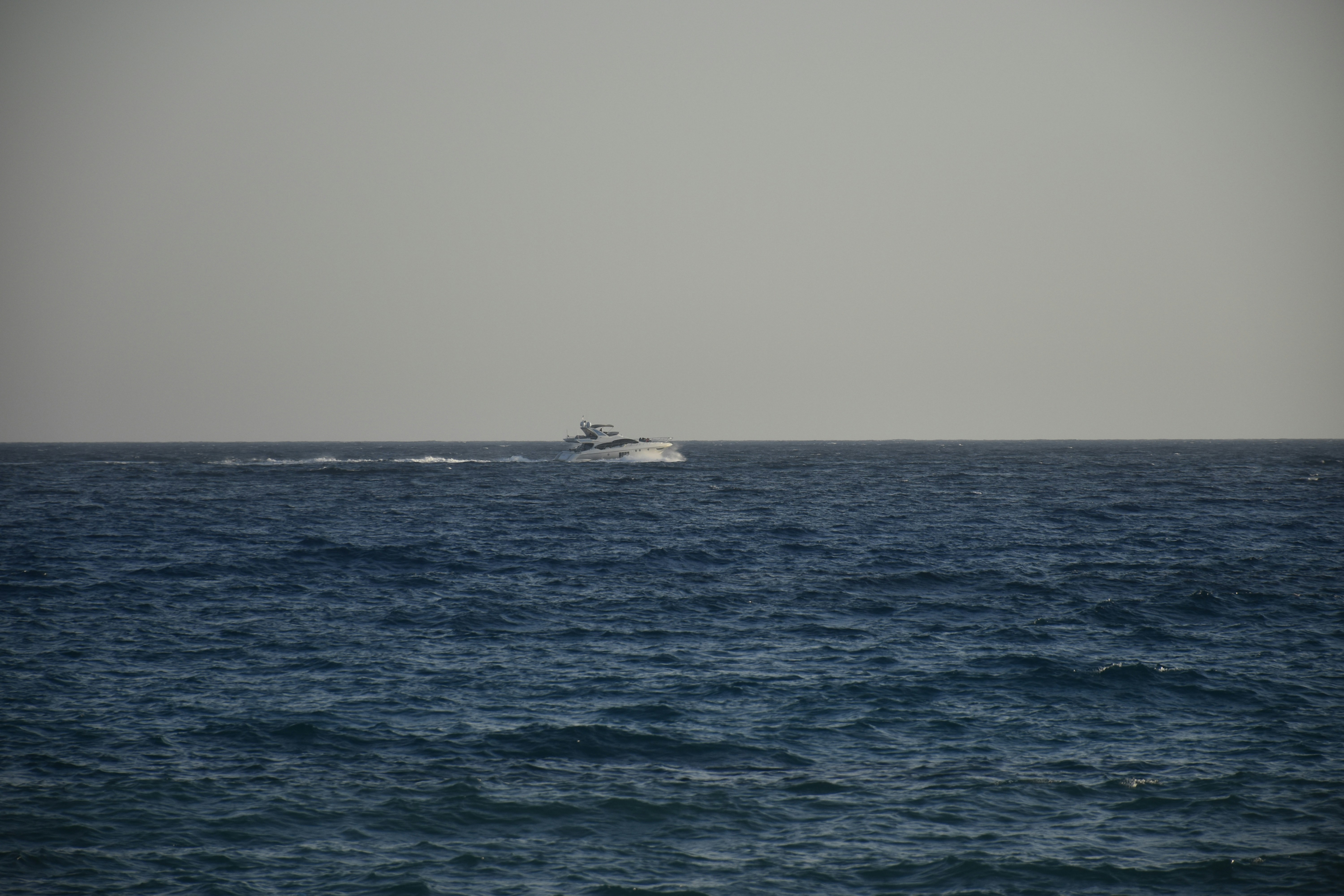 Photo by znphotogarphy