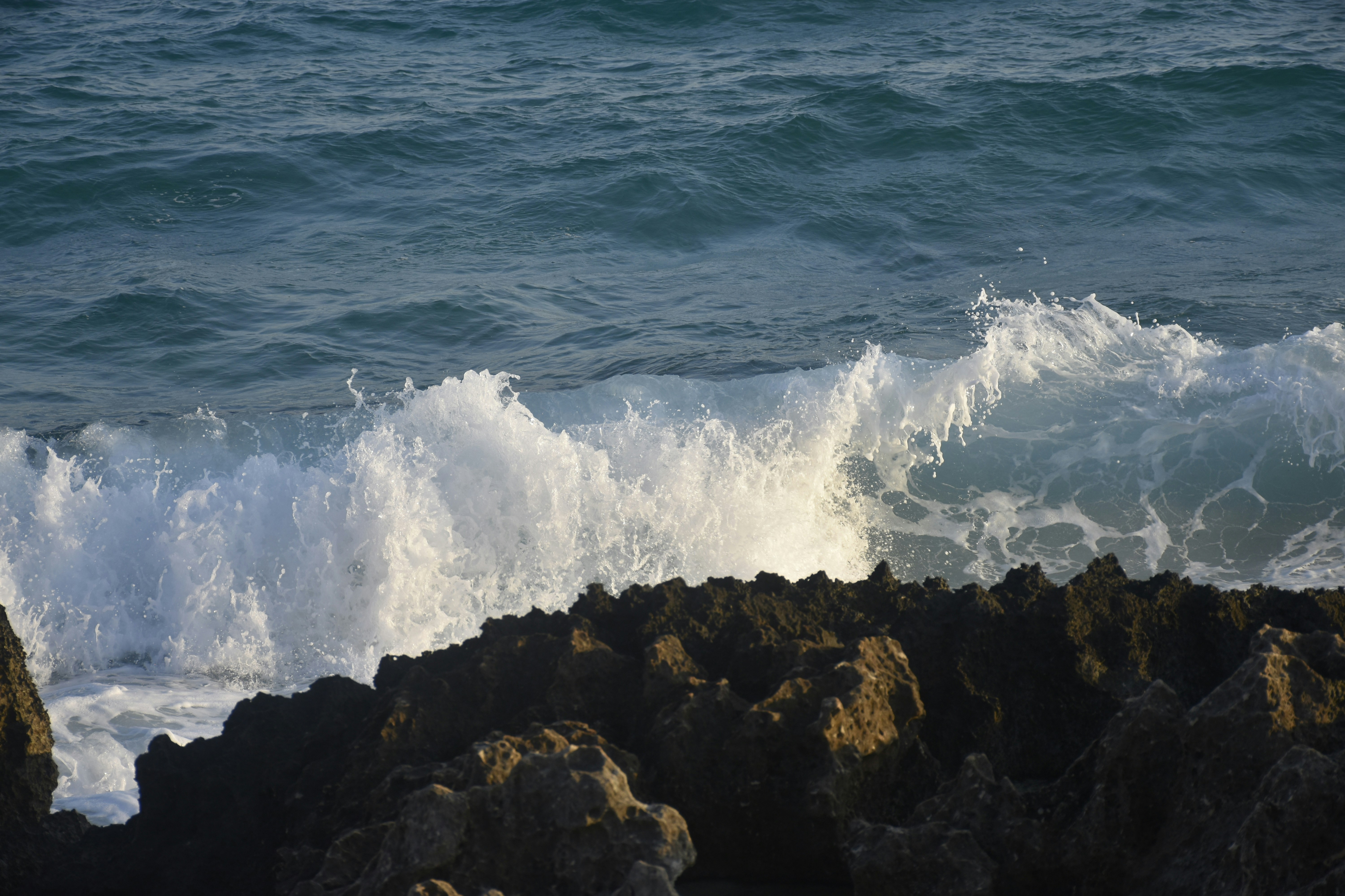 Photo by znphotogarphy