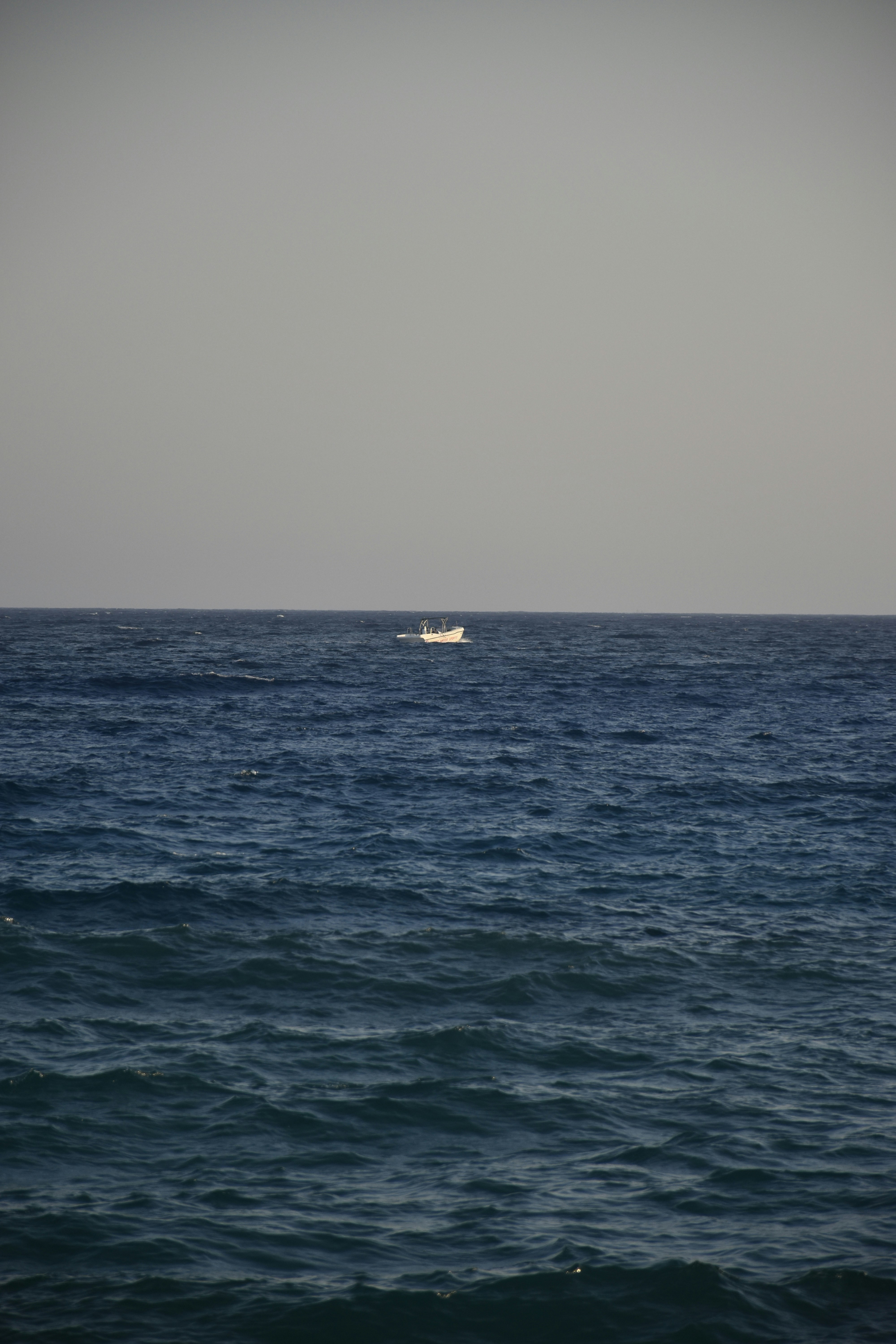 Photo by znphotogarphy