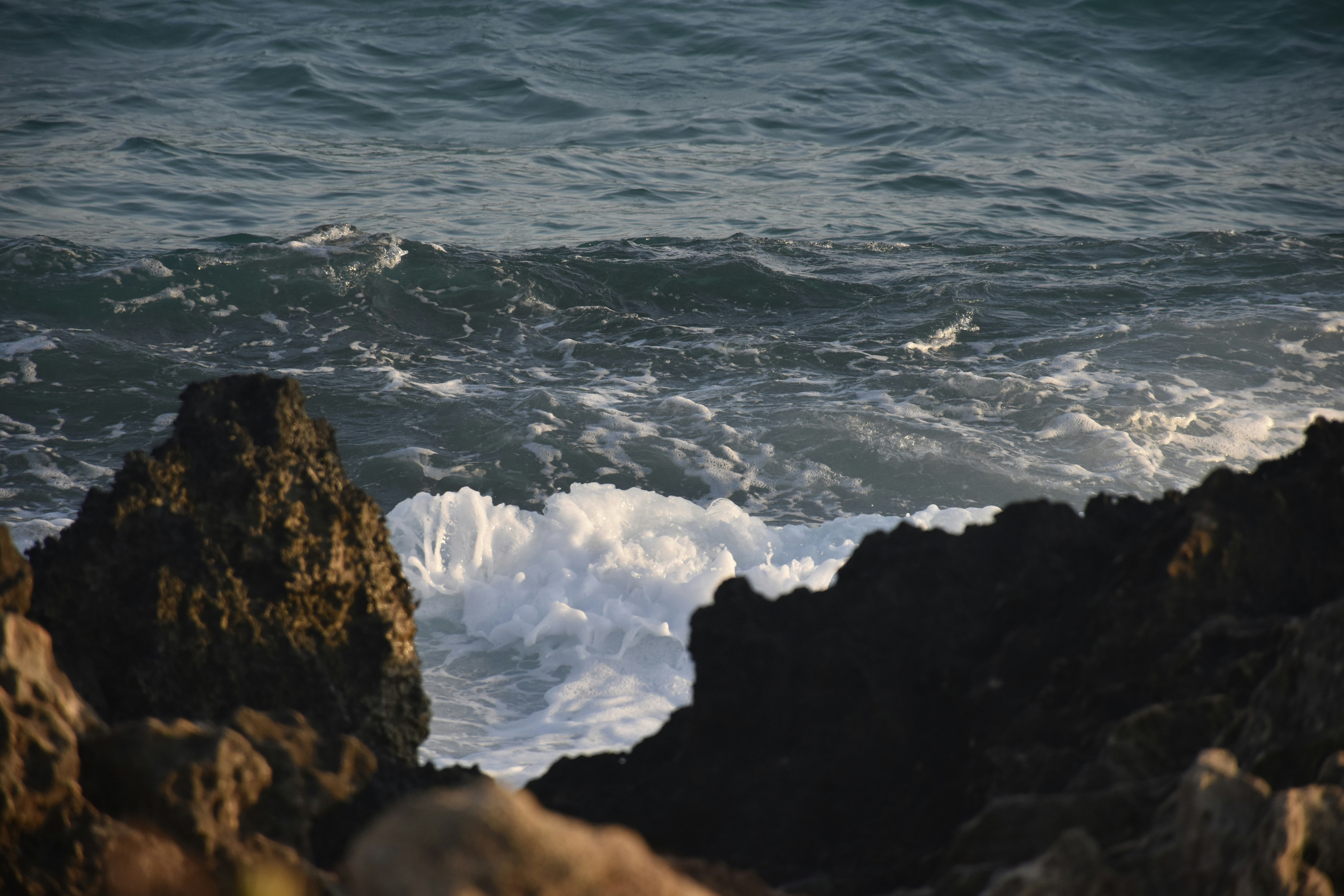 Photo by znphotogarphy