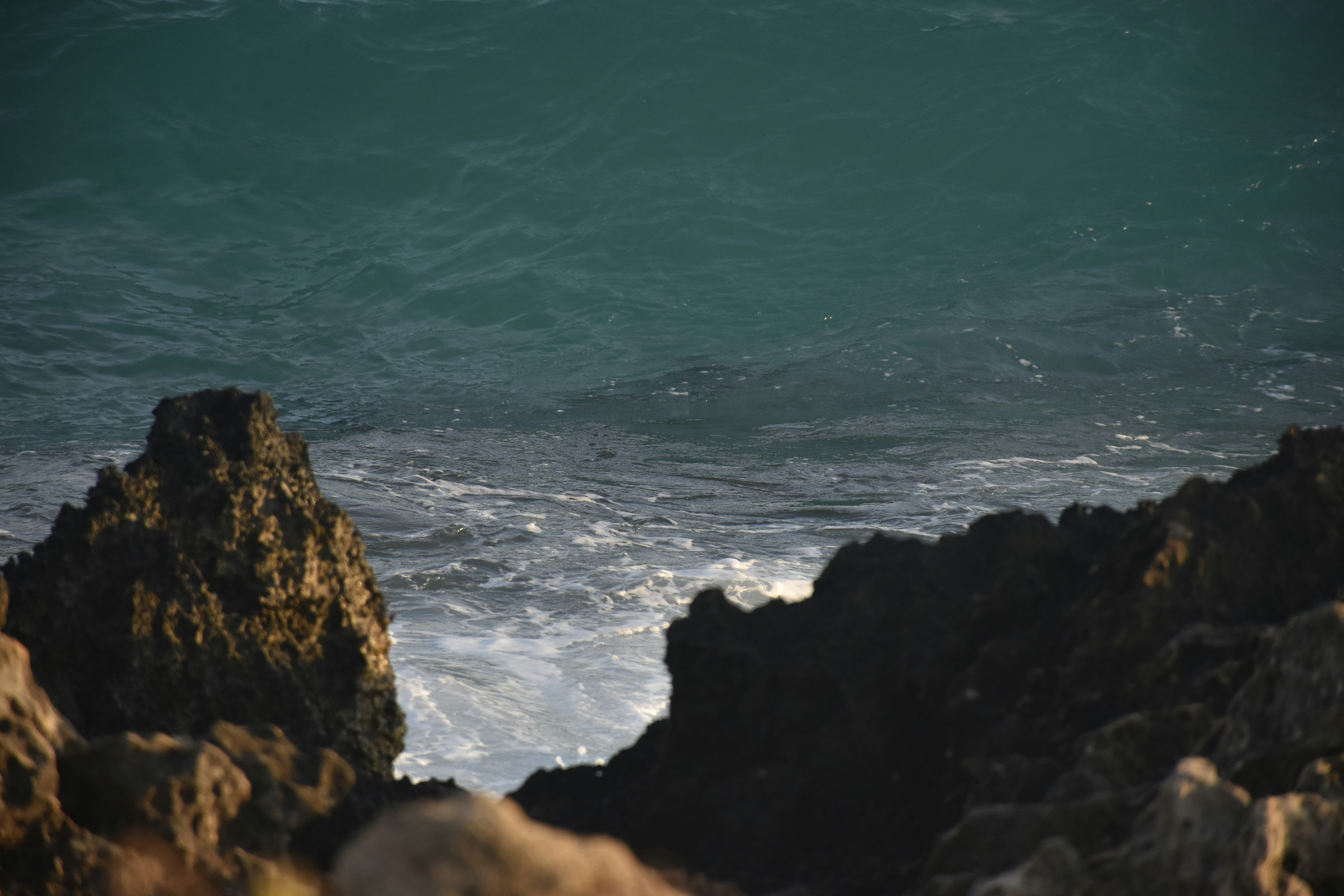 Photo by znphotogarphy