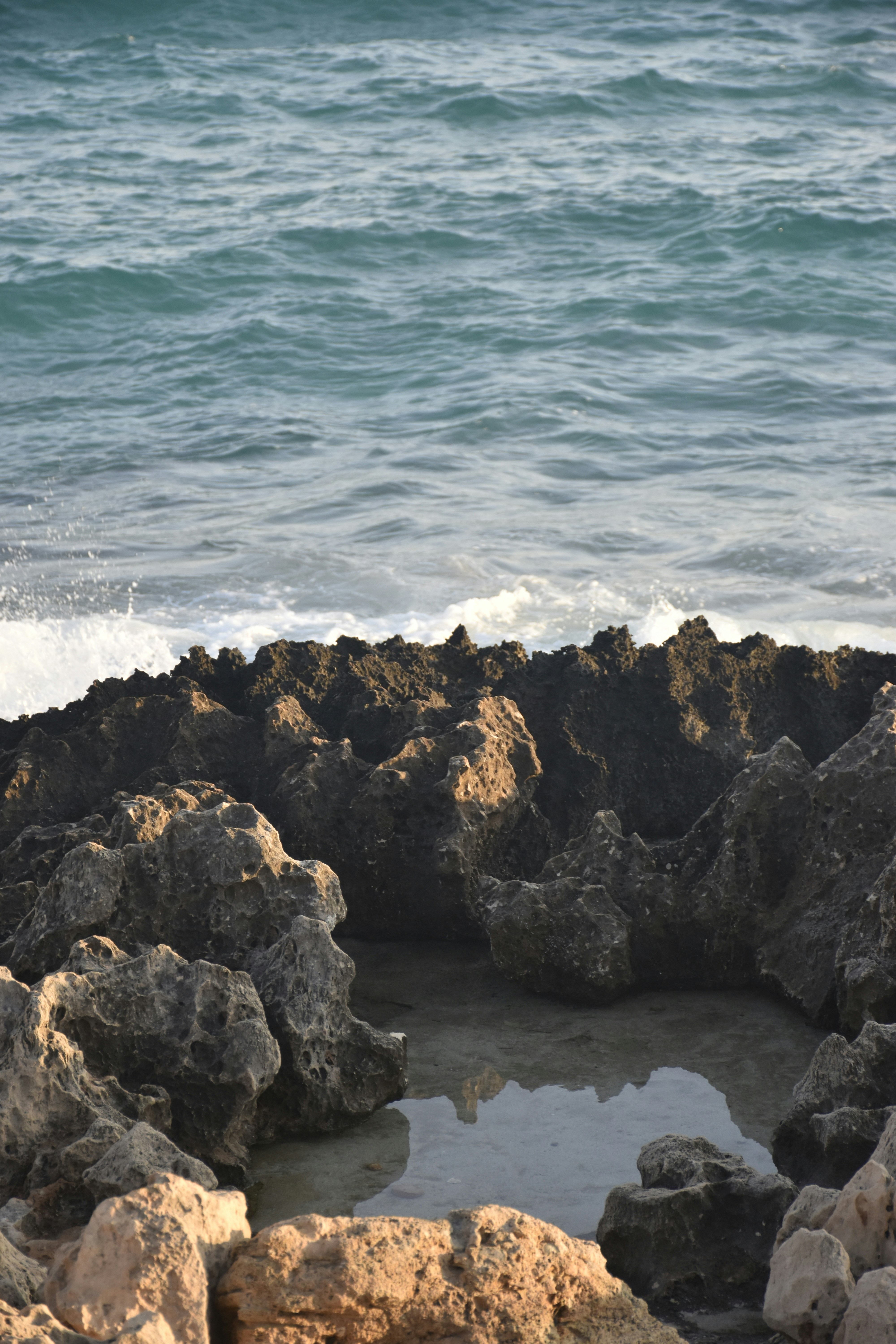 Photo by znphotogarphy