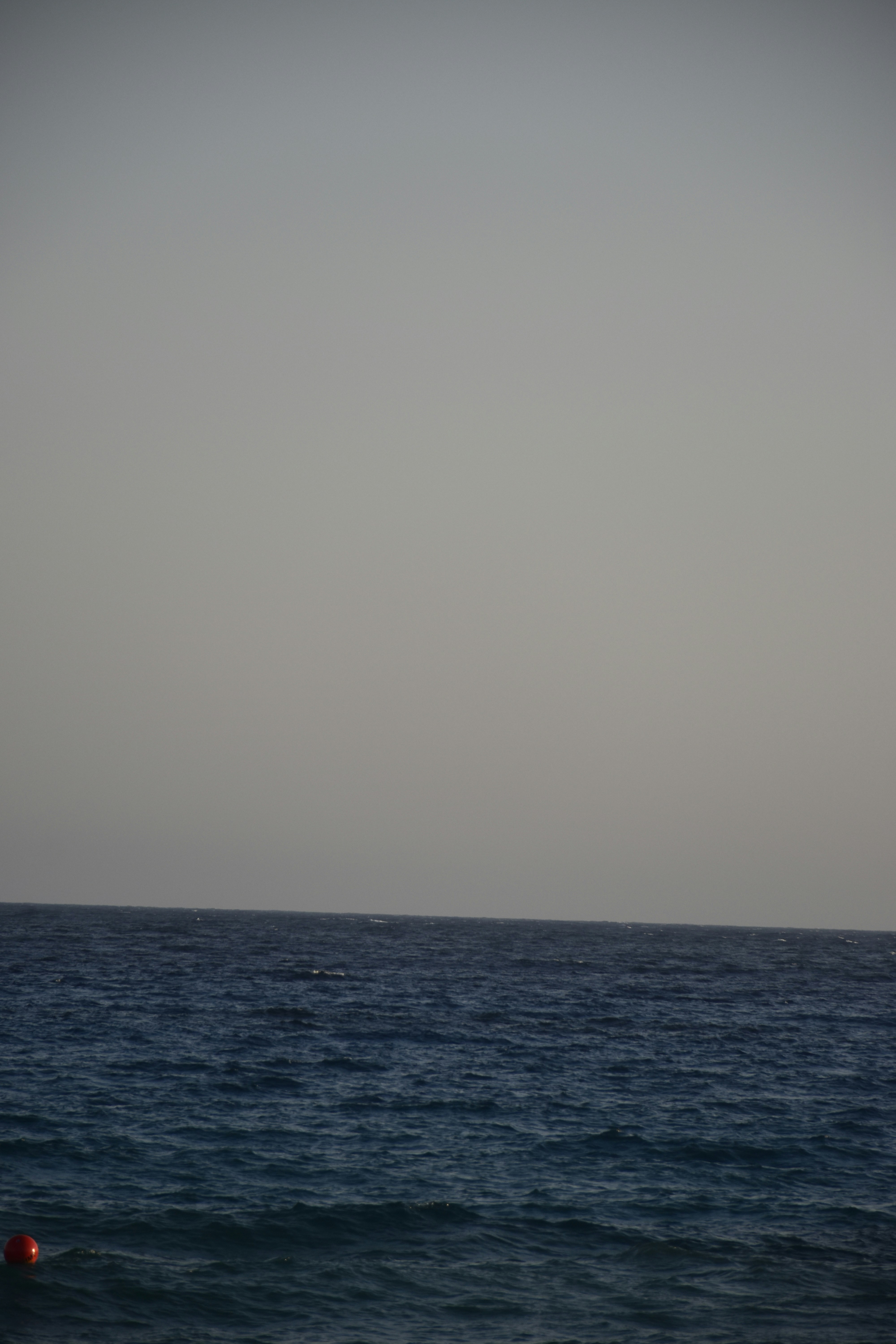 Photo by znphotogarphy