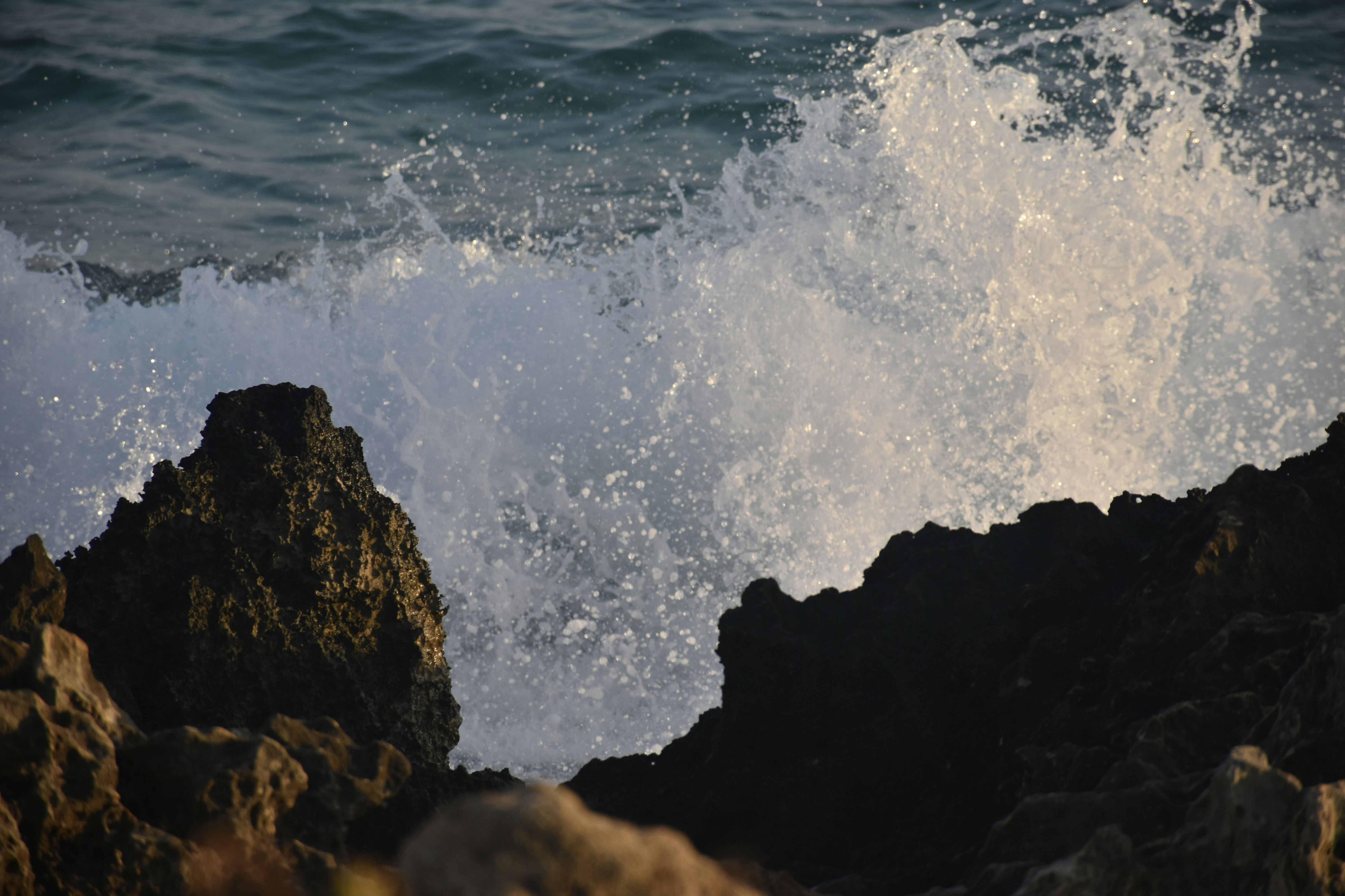 Photo by znphotogarphy