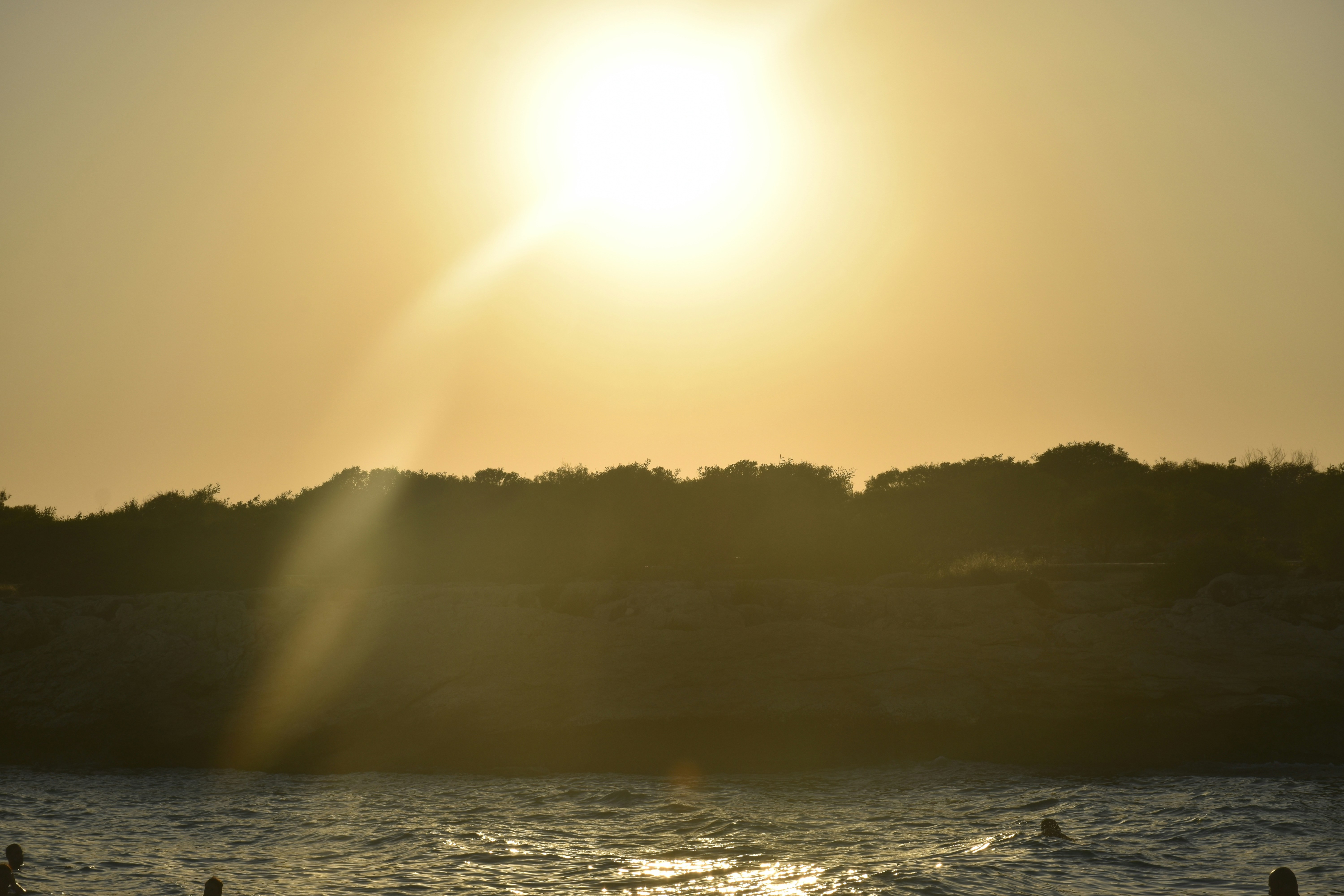 Photo by znphotogarphy