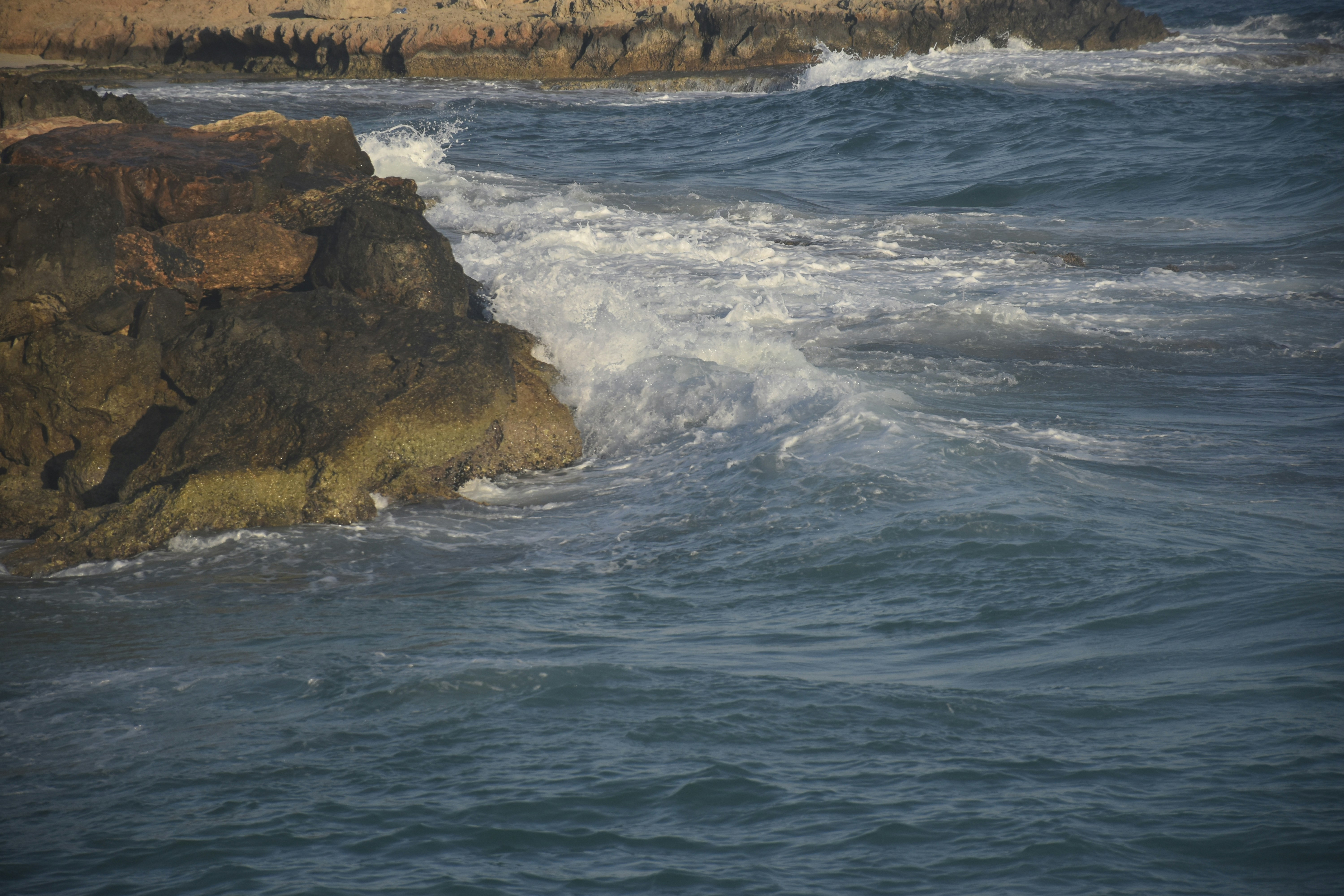 Photo by znphotogarphy