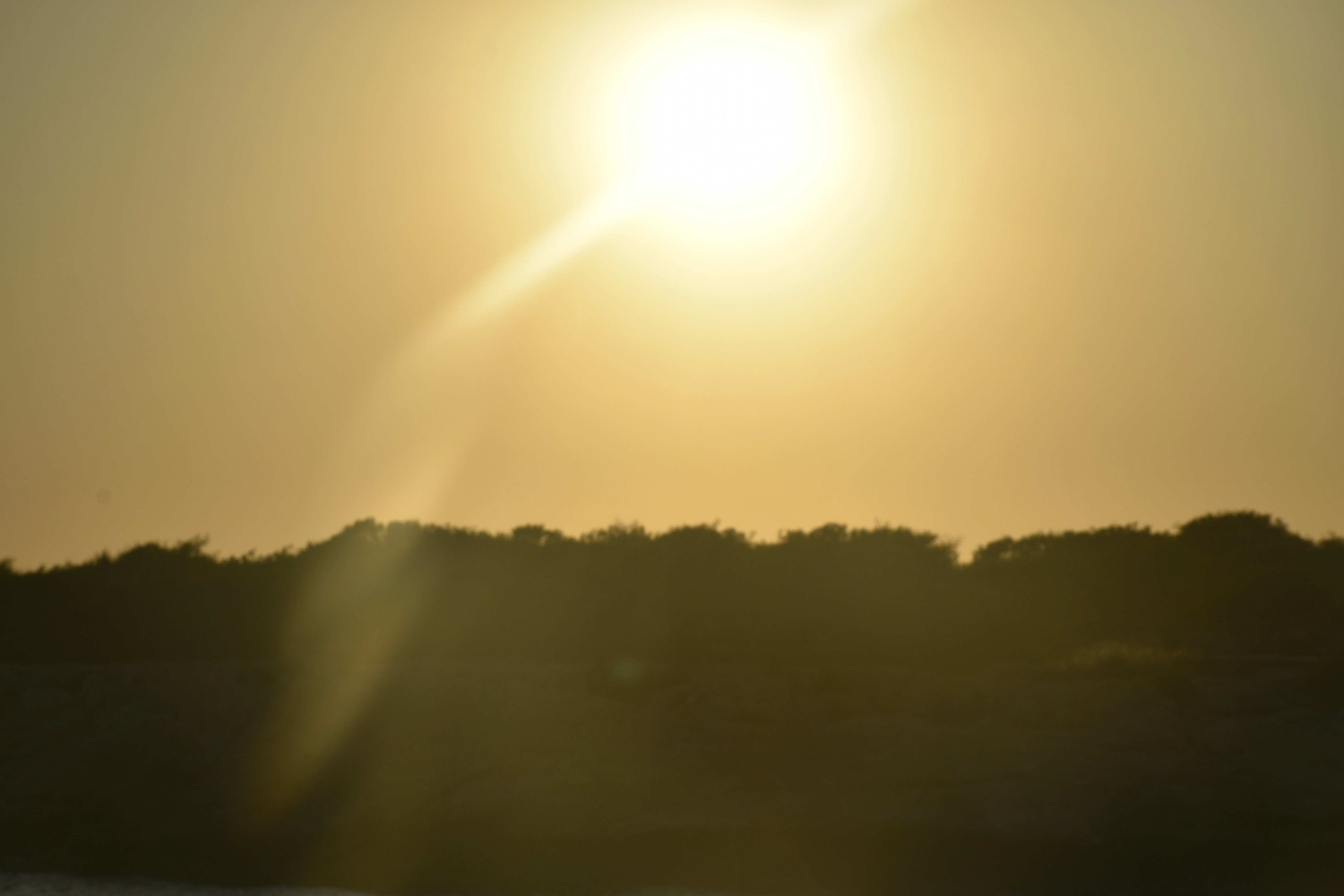 Photo by znphotogarphy