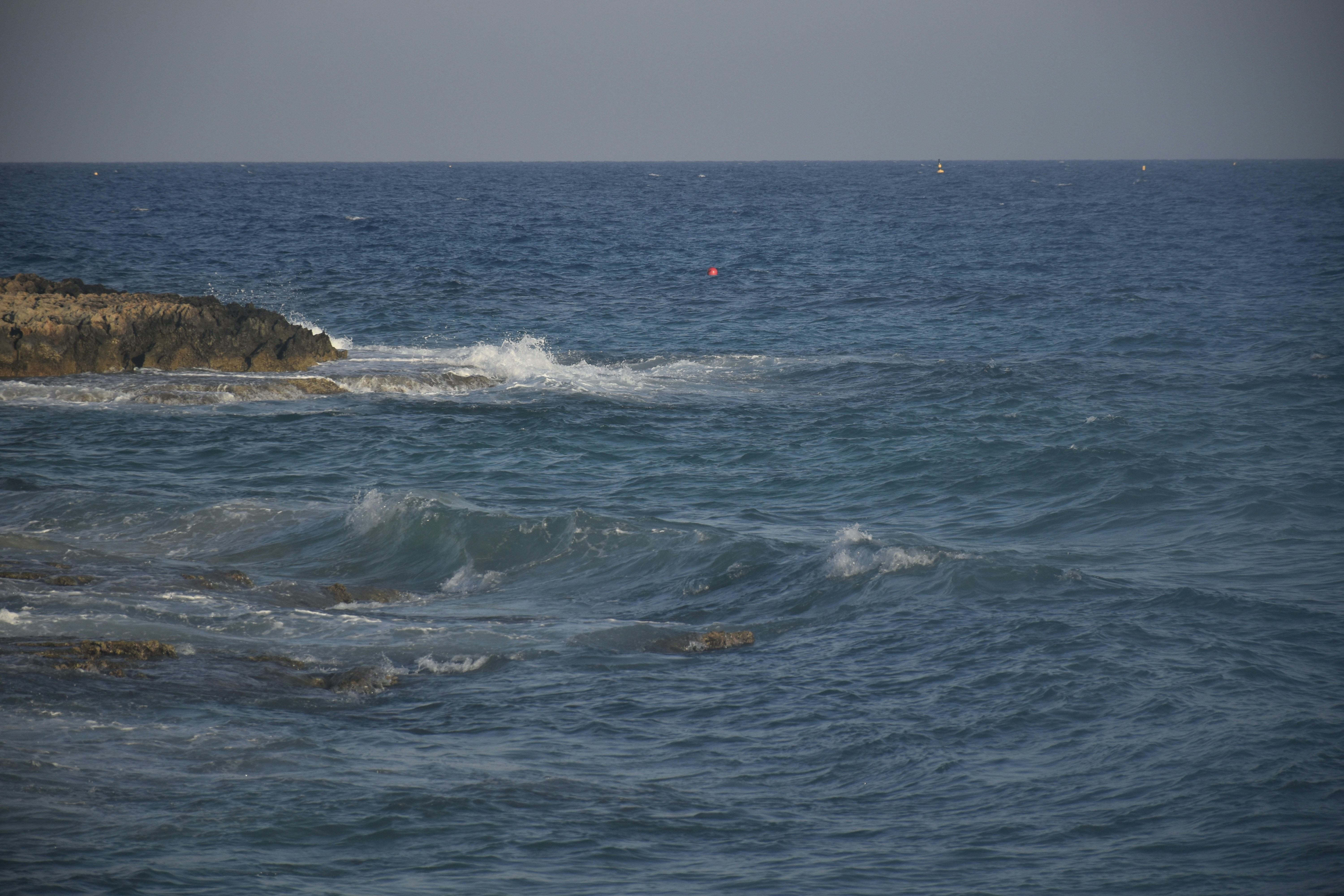 Photo by znphotogarphy