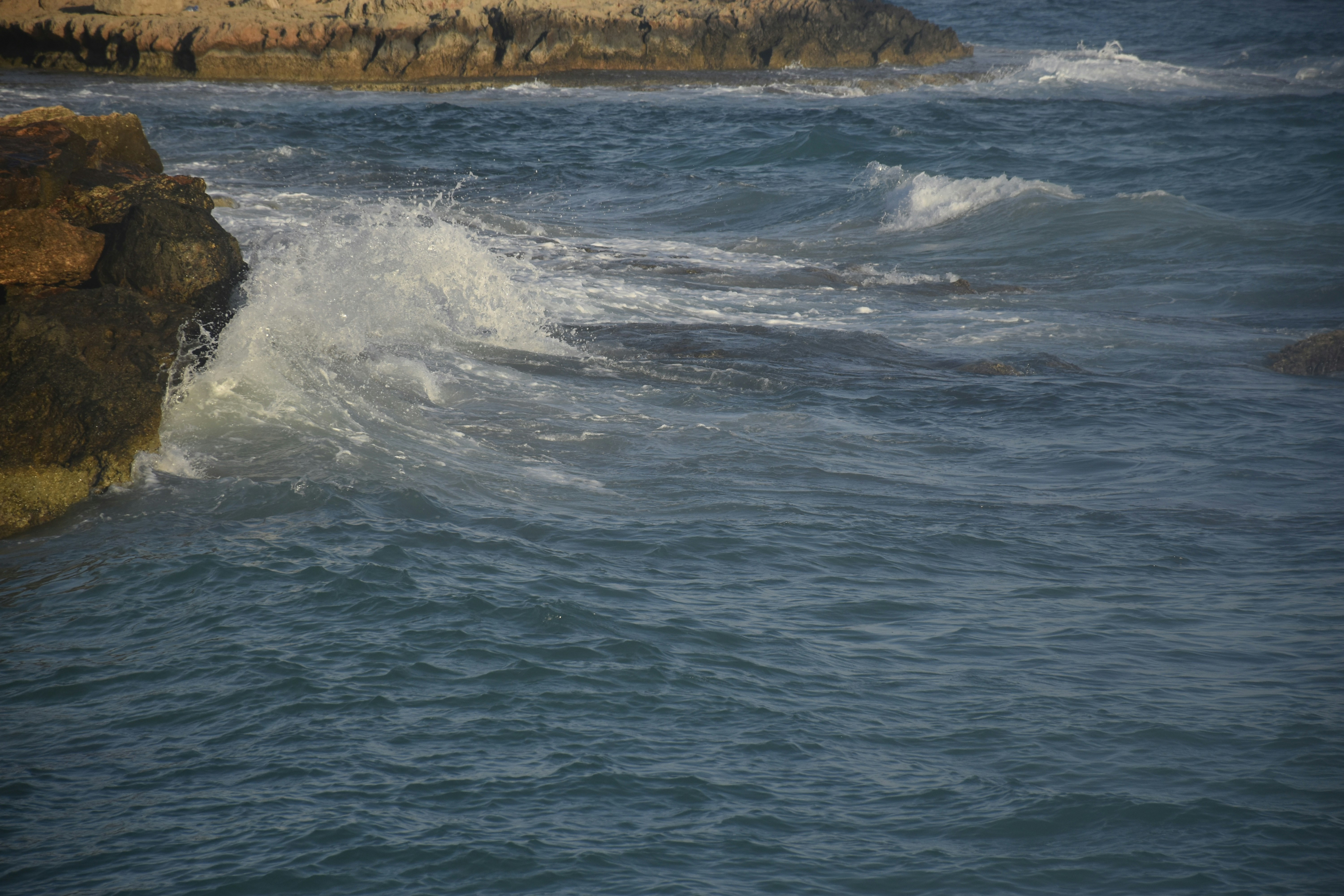 Photo by znphotogarphy