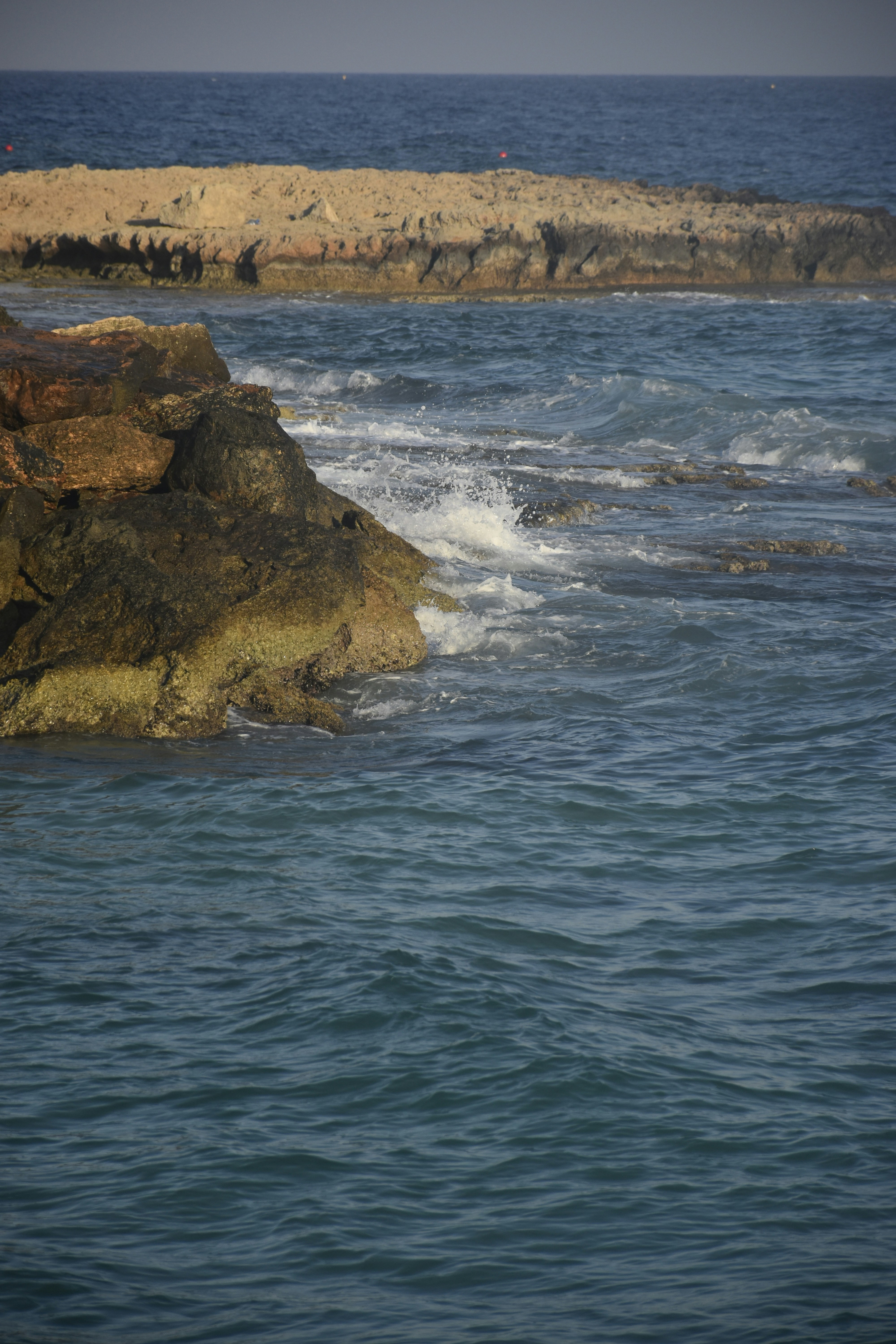 Photo by znphotogarphy