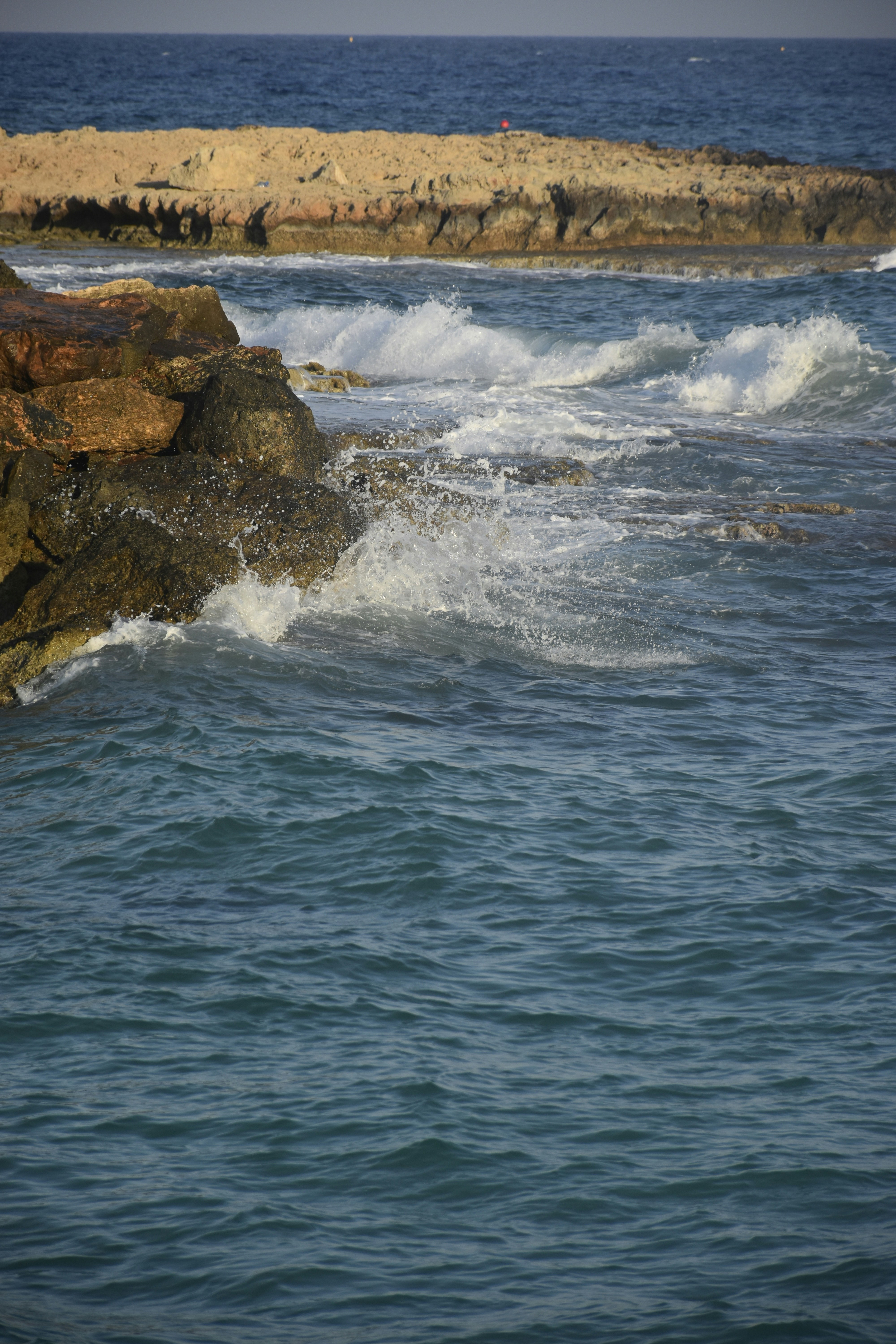 Photo by znphotogarphy