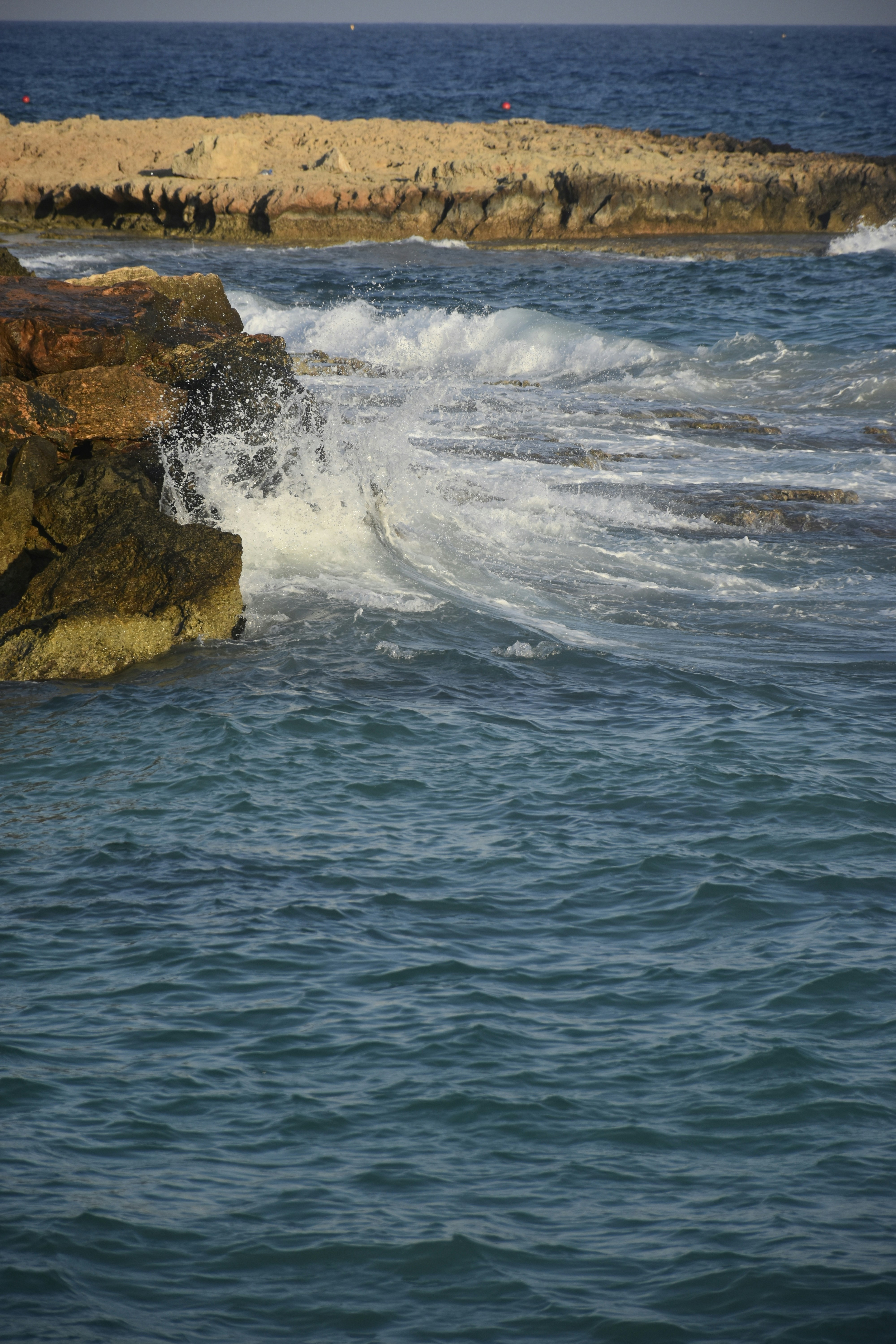 Photo by znphotogarphy