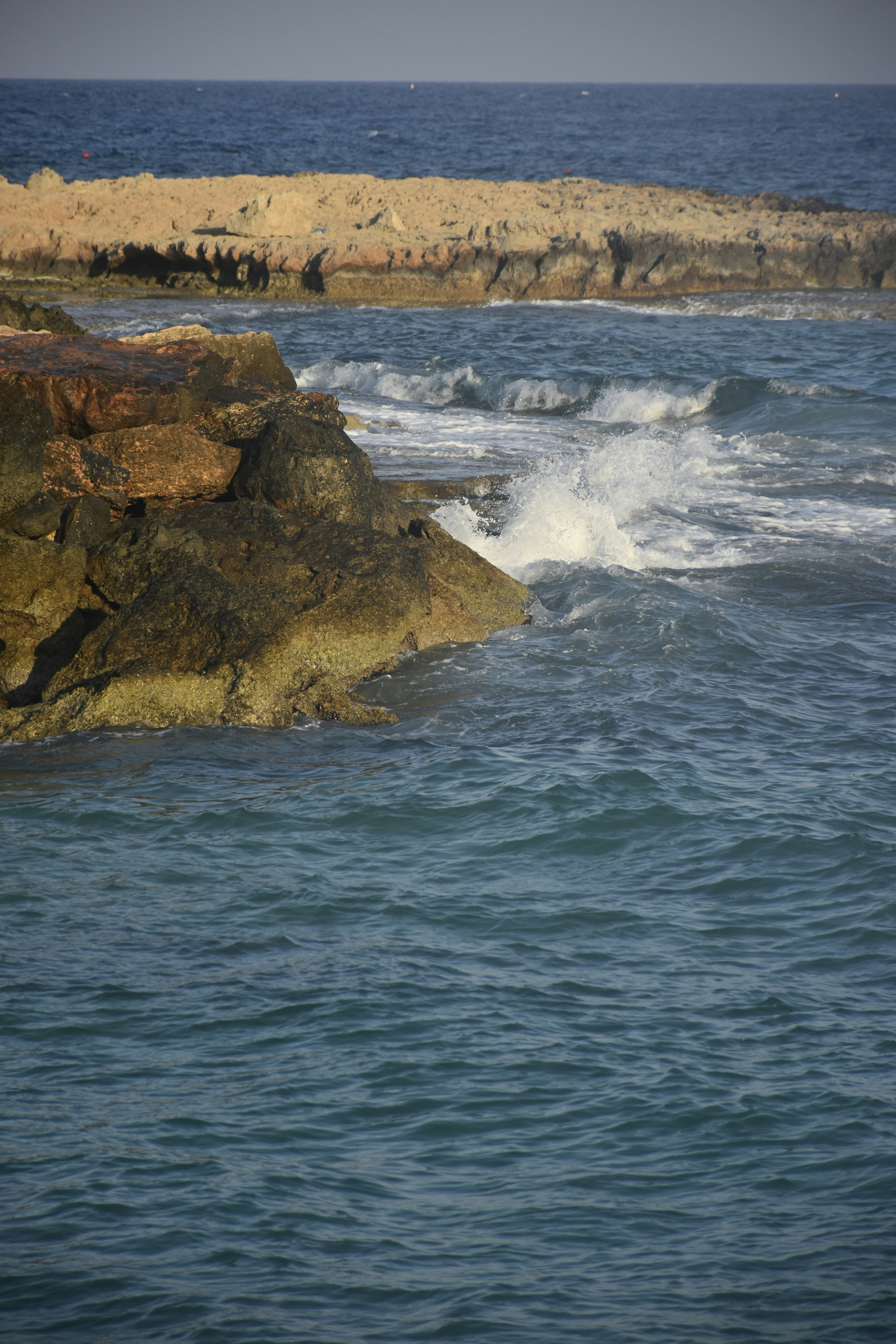 Photo by znphotogarphy