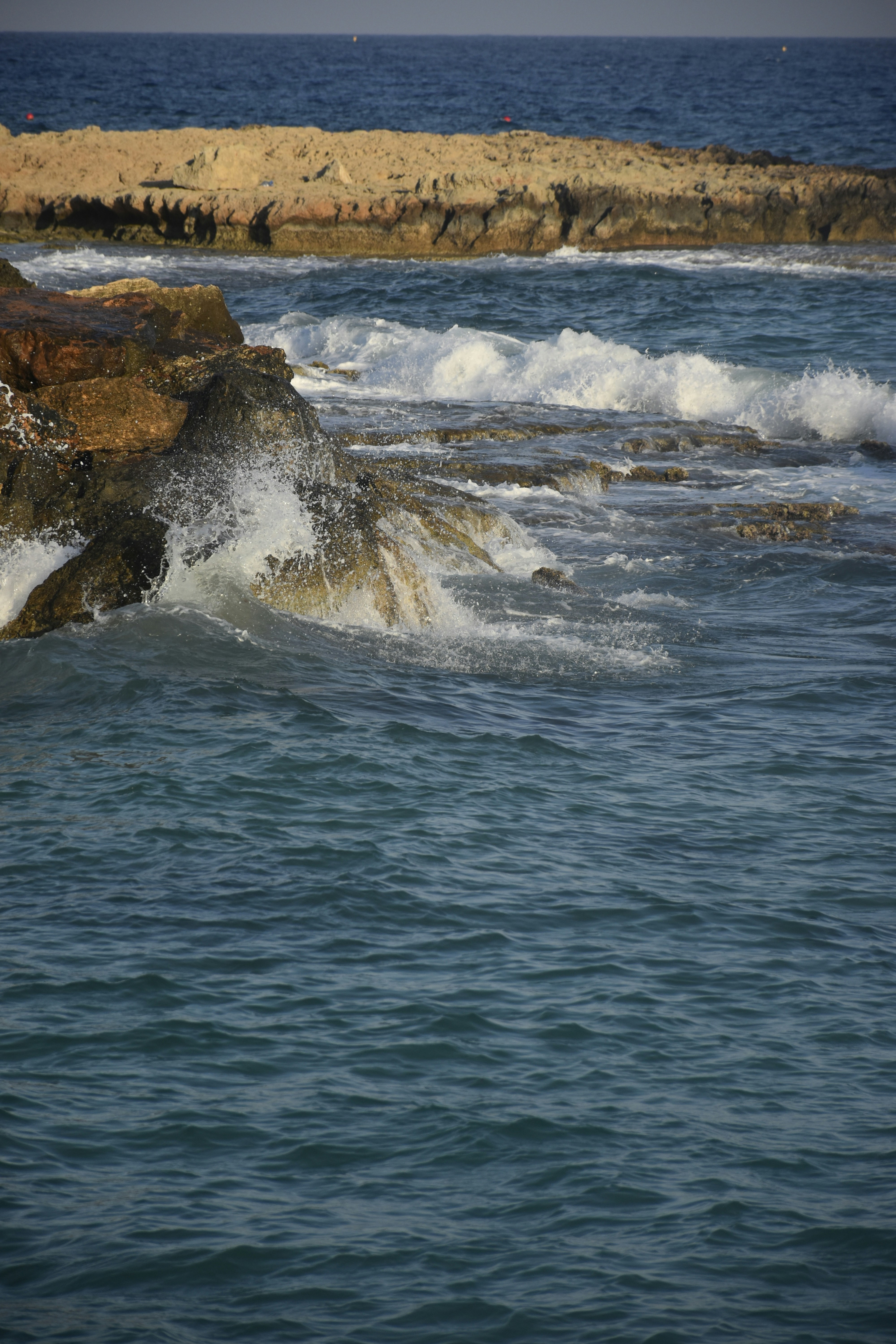 Photo by znphotogarphy