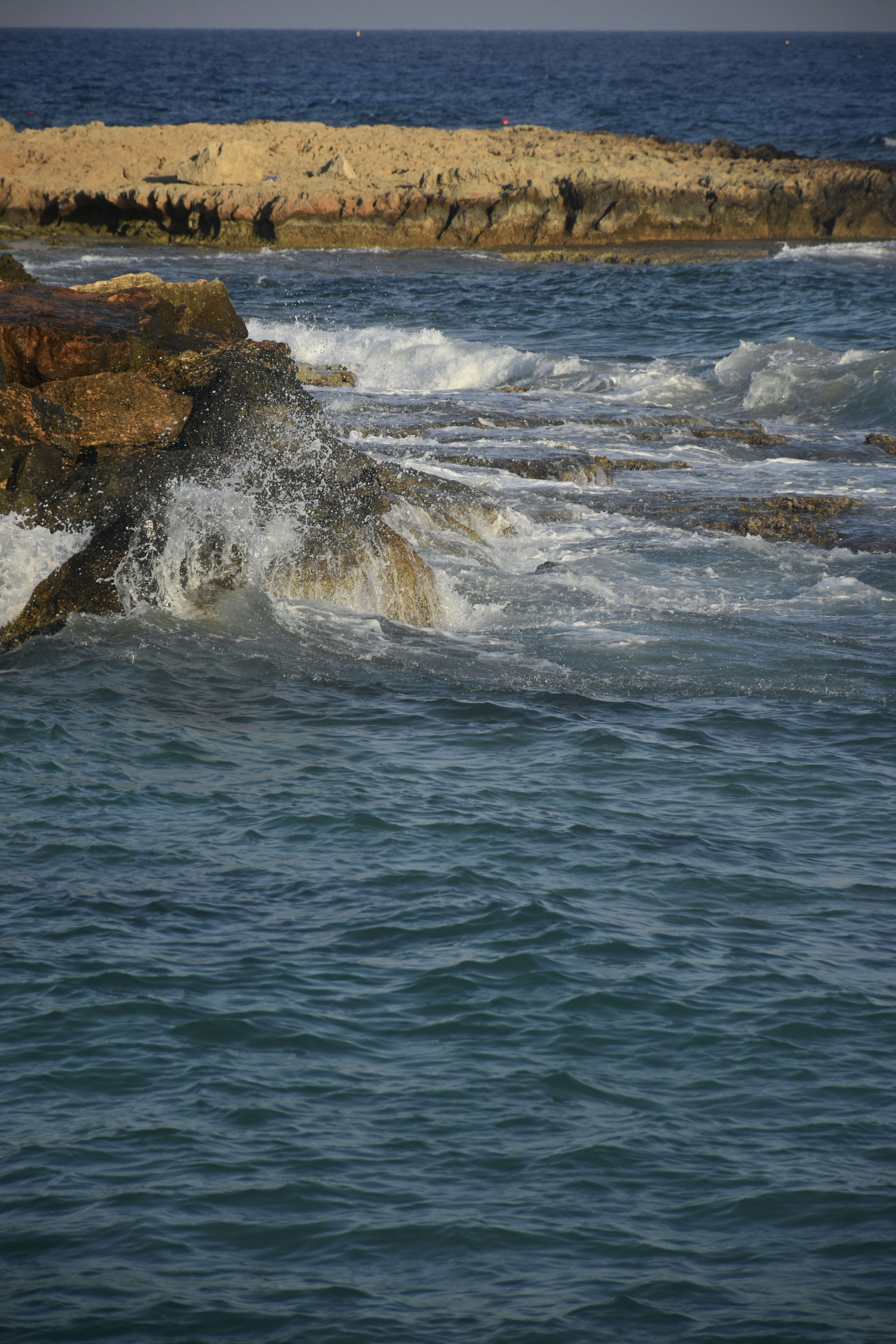 Photo by znphotogarphy