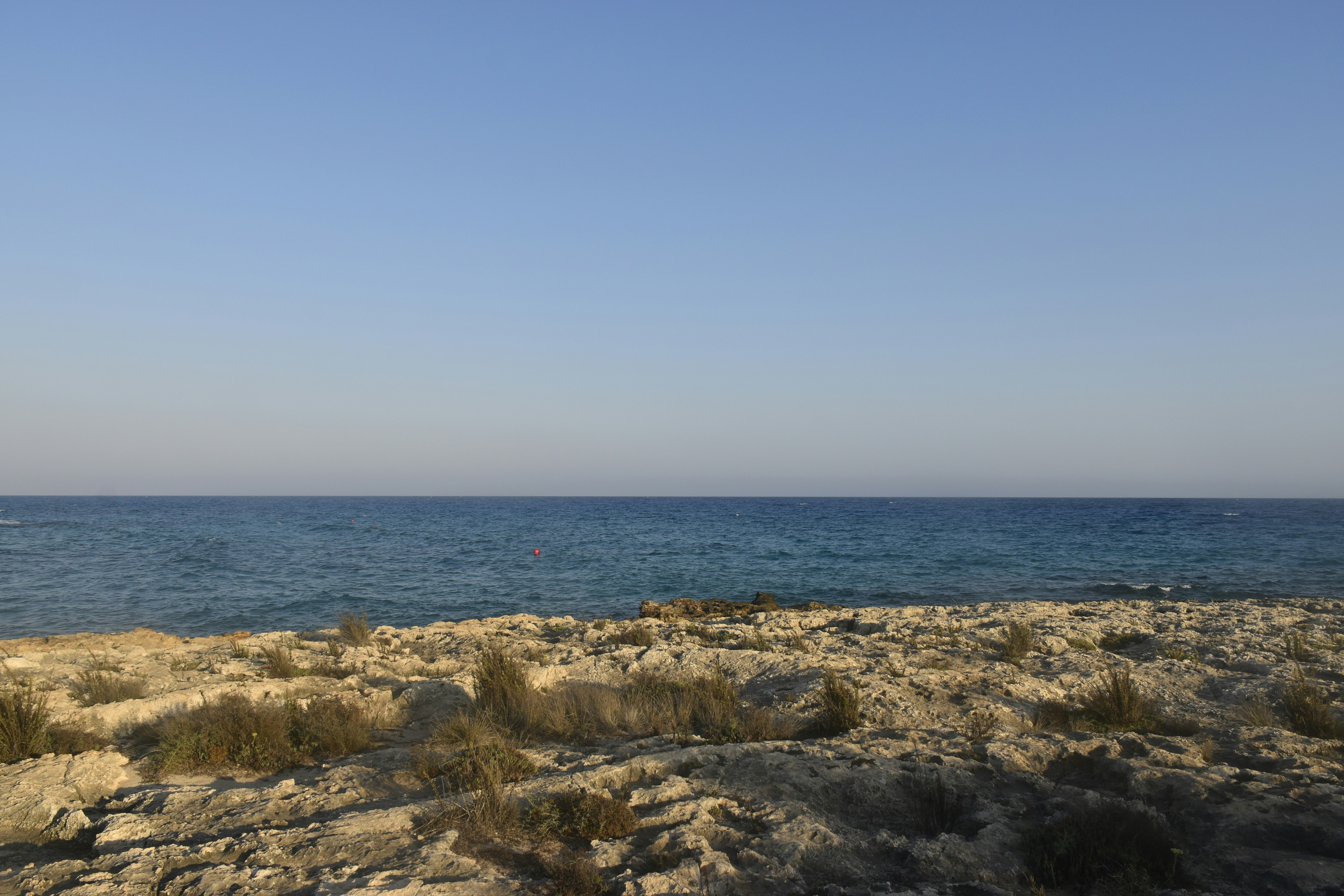 Photo by znphotogarphy