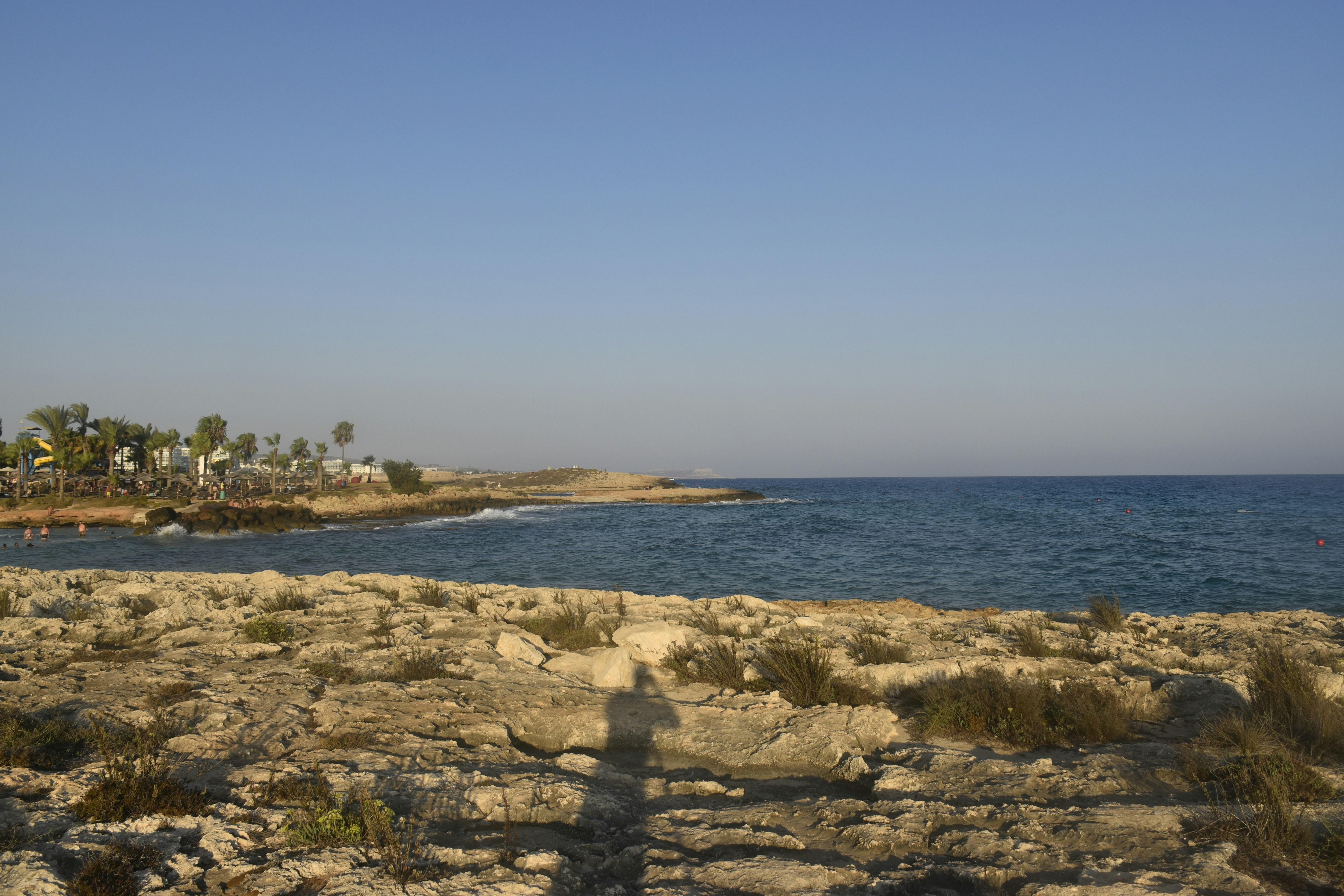 Photo by znphotogarphy