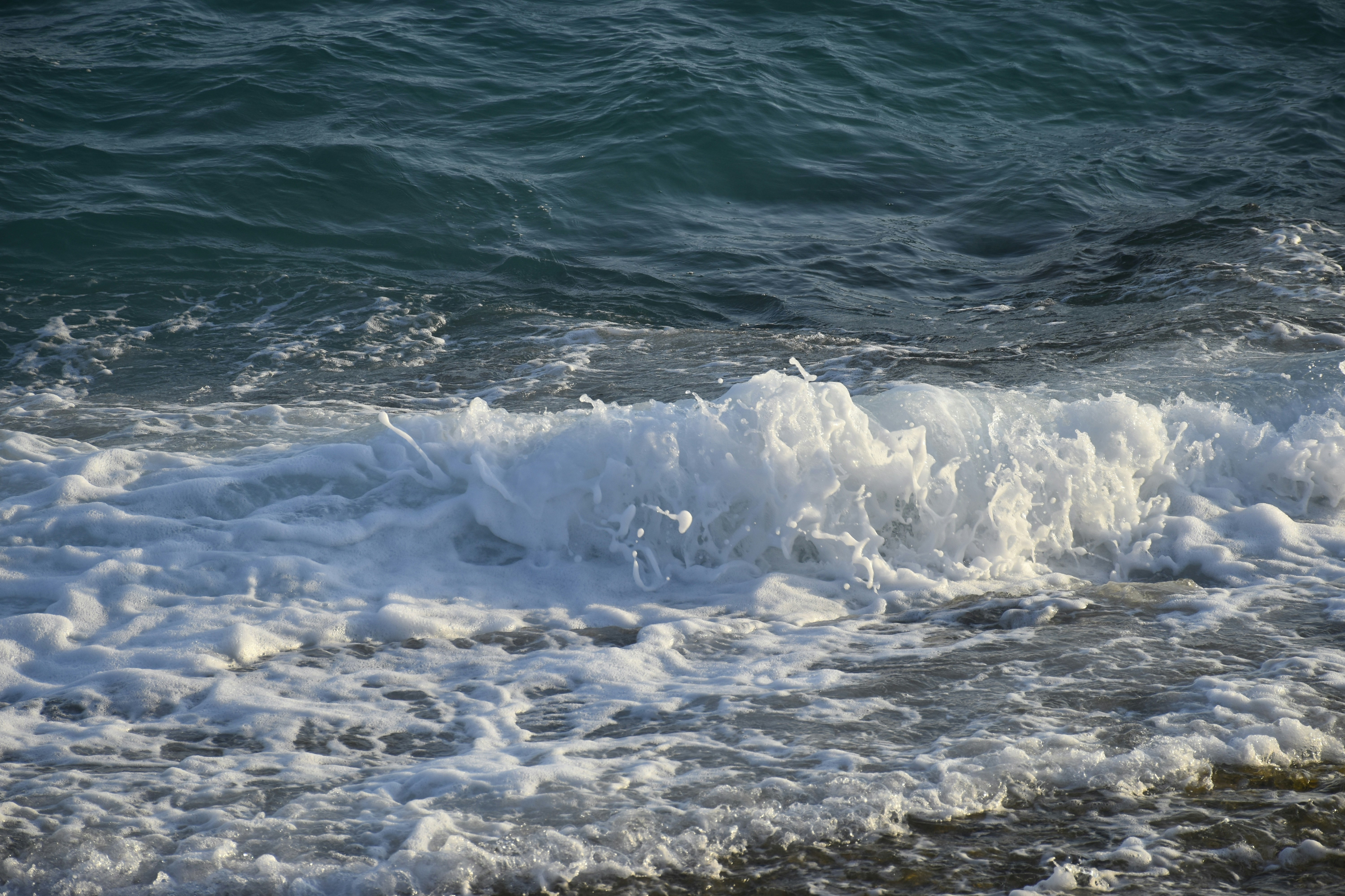 Photo by znphotogarphy