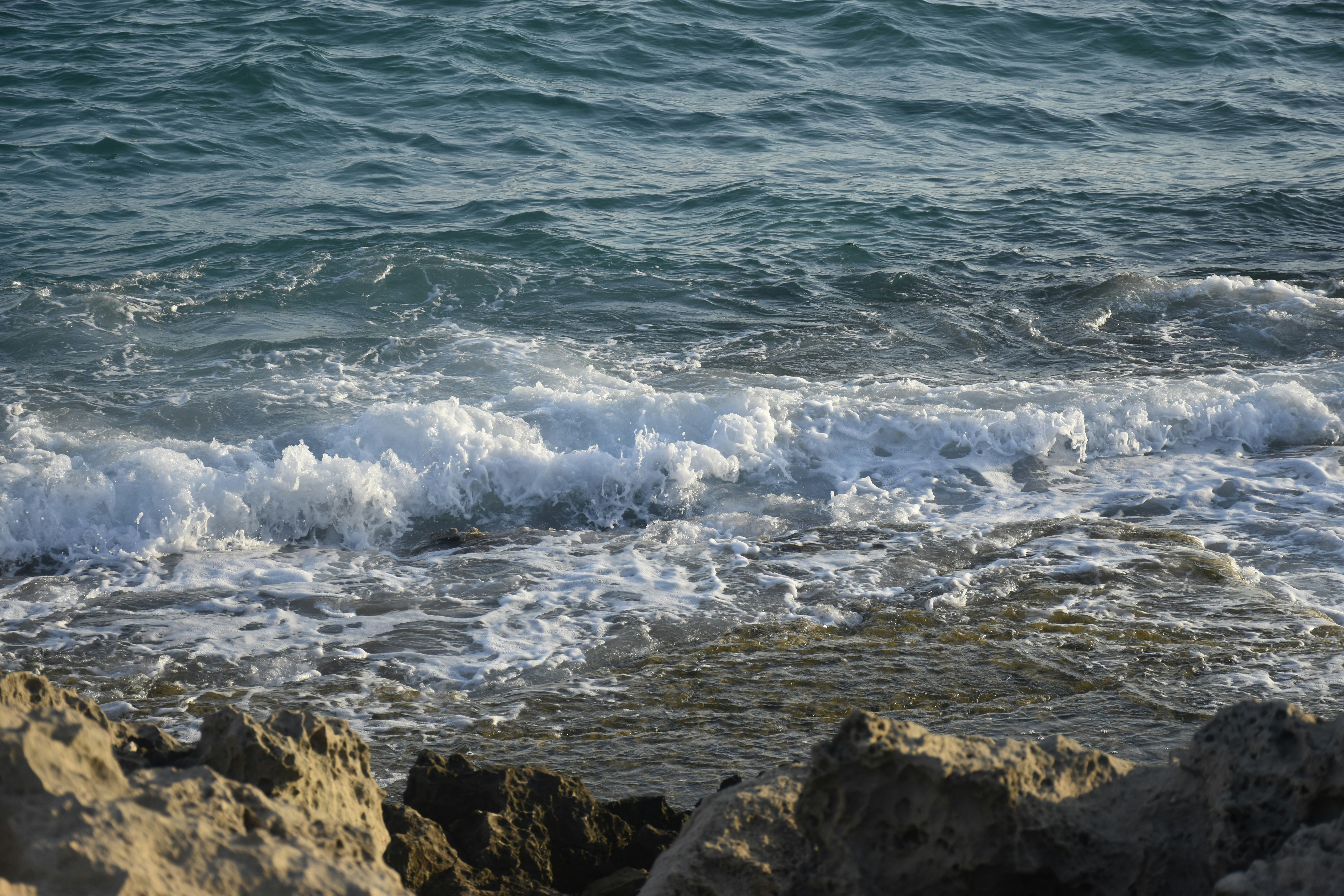 Photo by znphotogarphy