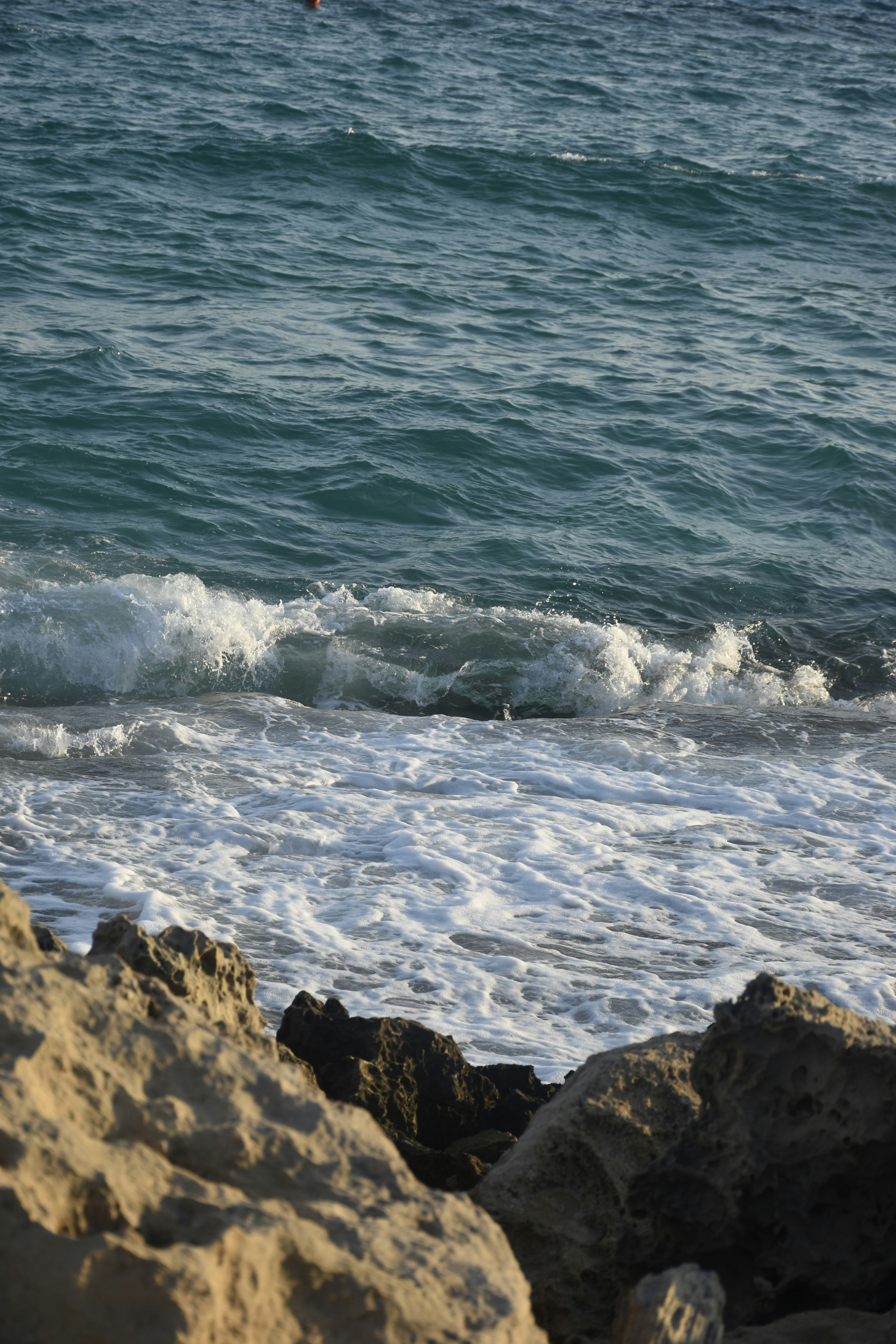 Photo by znphotogarphy