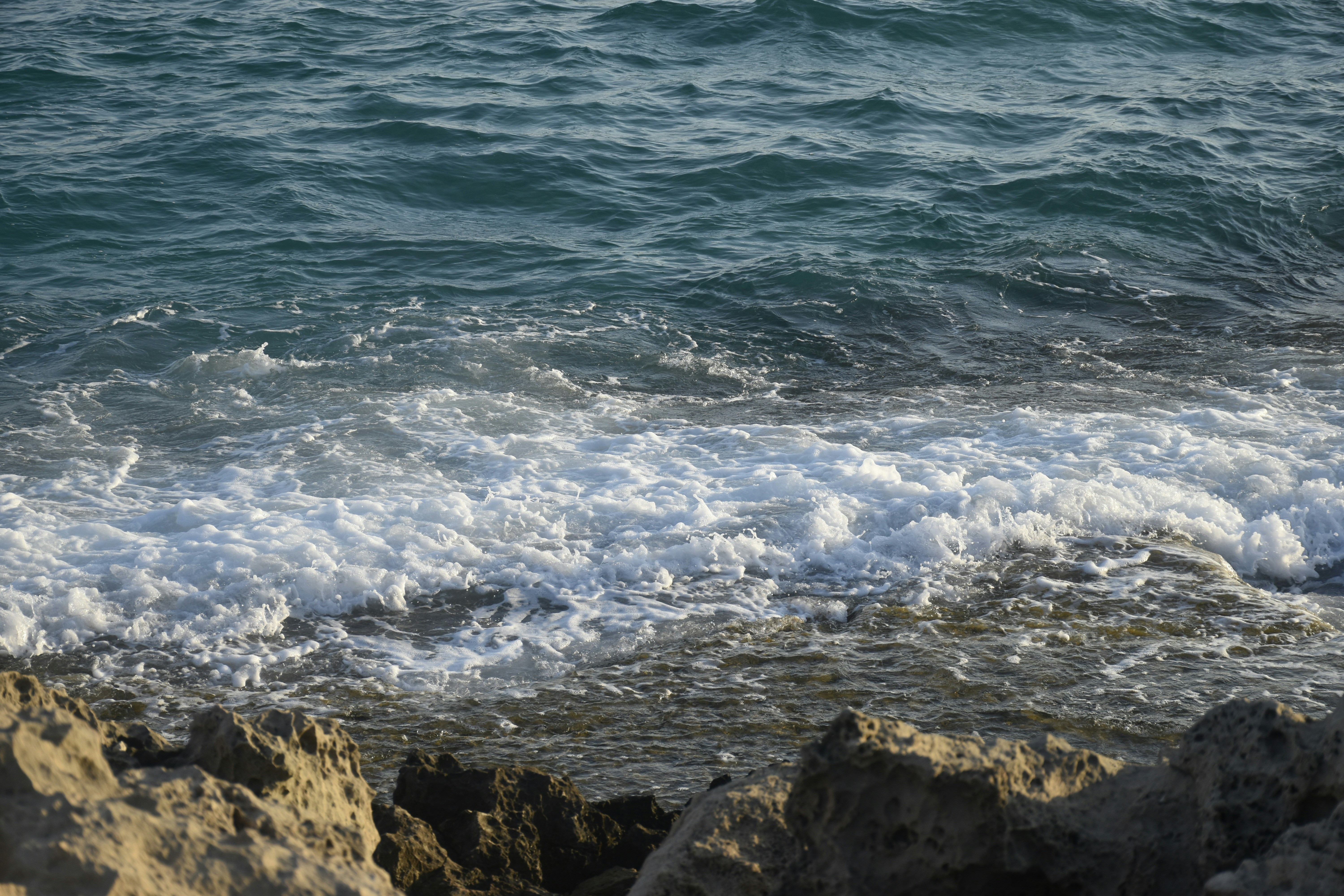 Photo by znphotogarphy