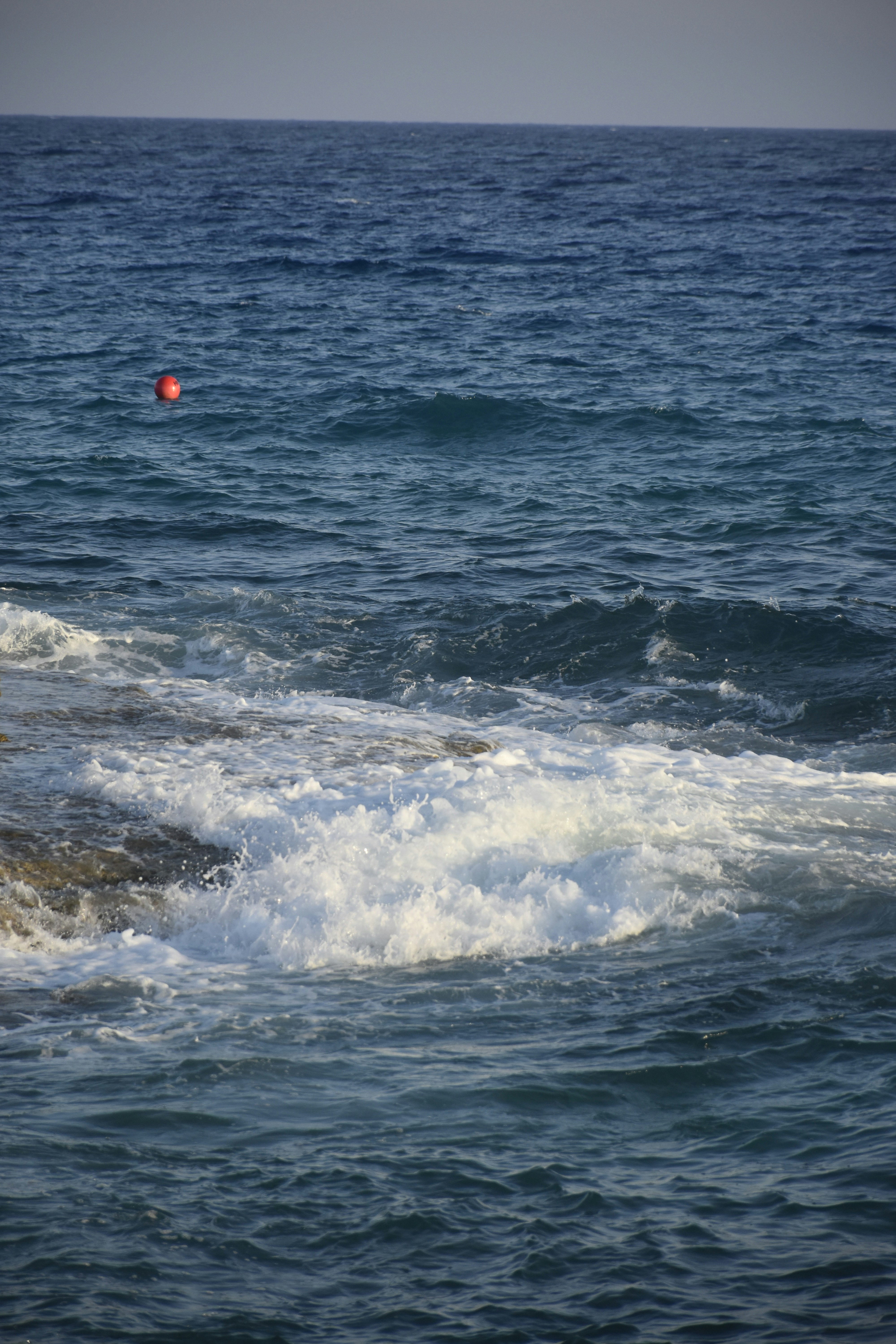 Photo by znphotogarphy