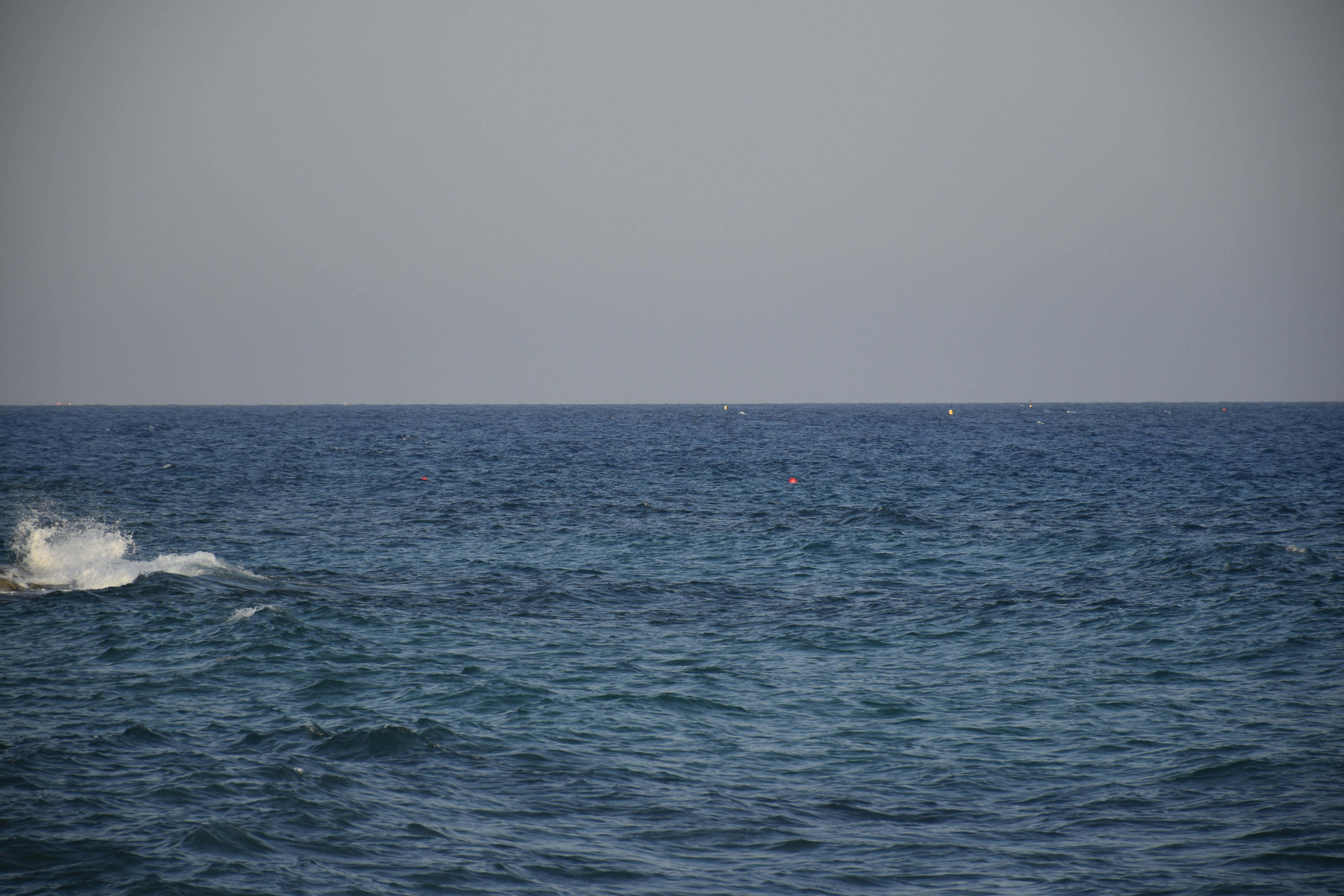 Photo by znphotogarphy