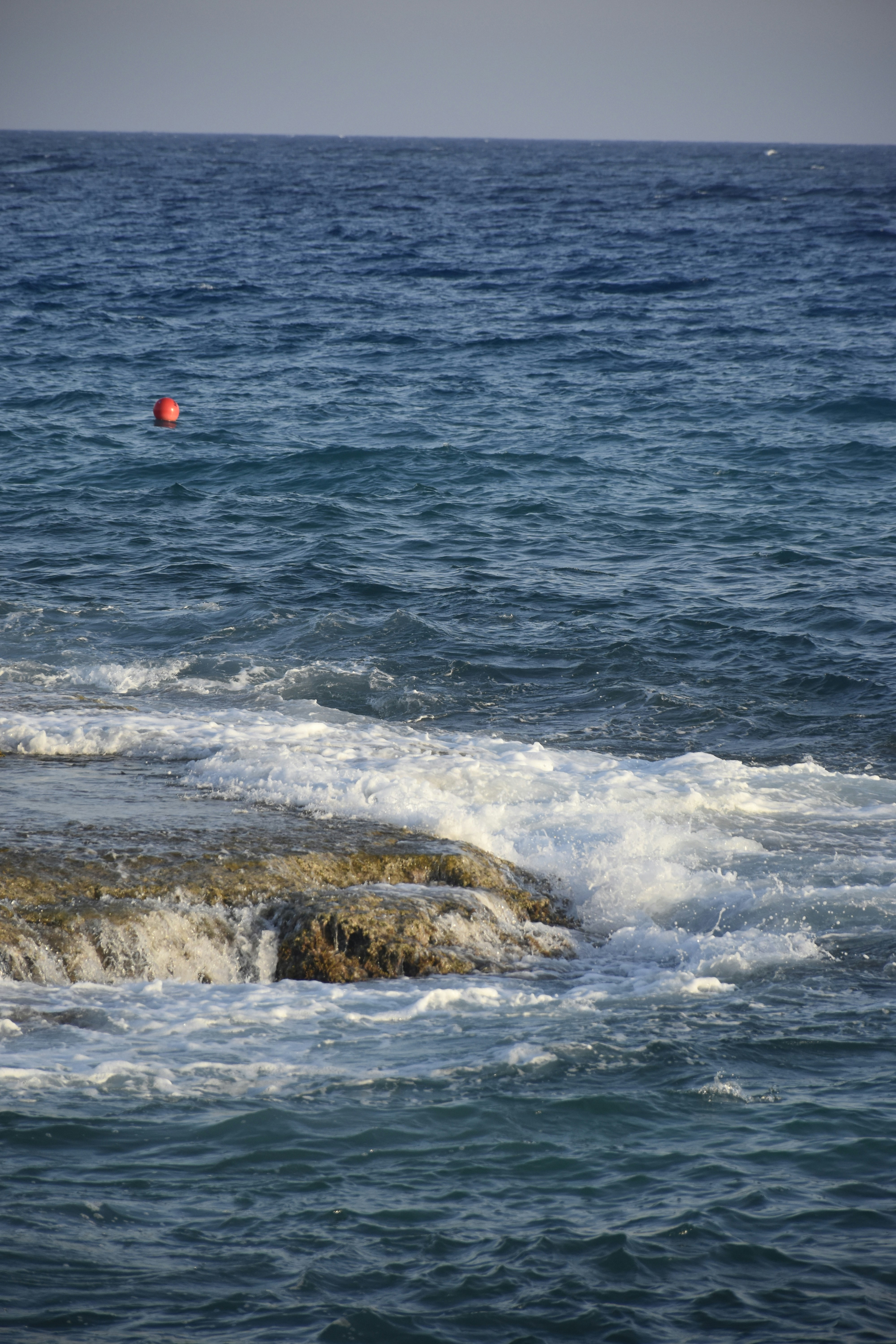 Photo by znphotogarphy