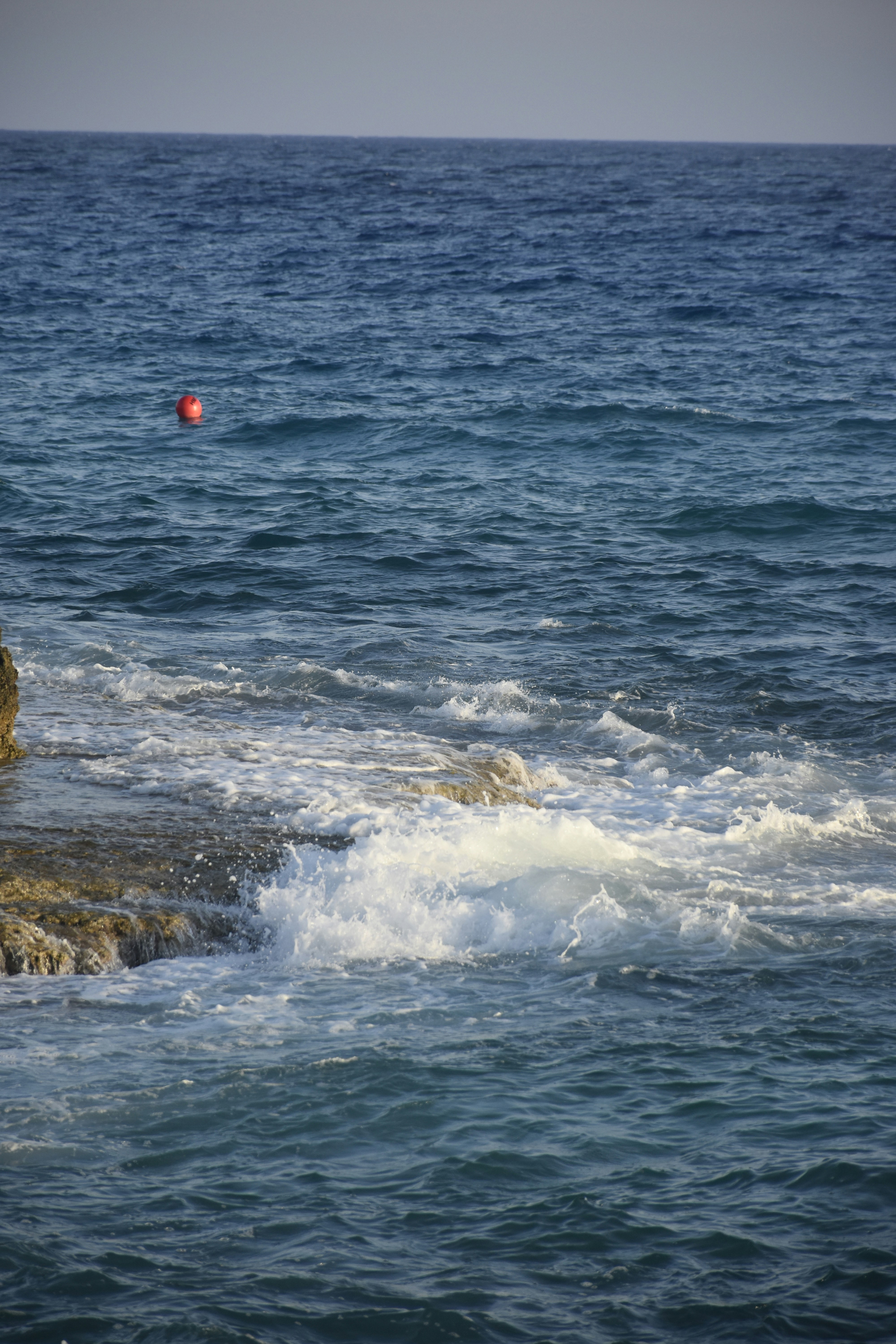 Photo by znphotogarphy