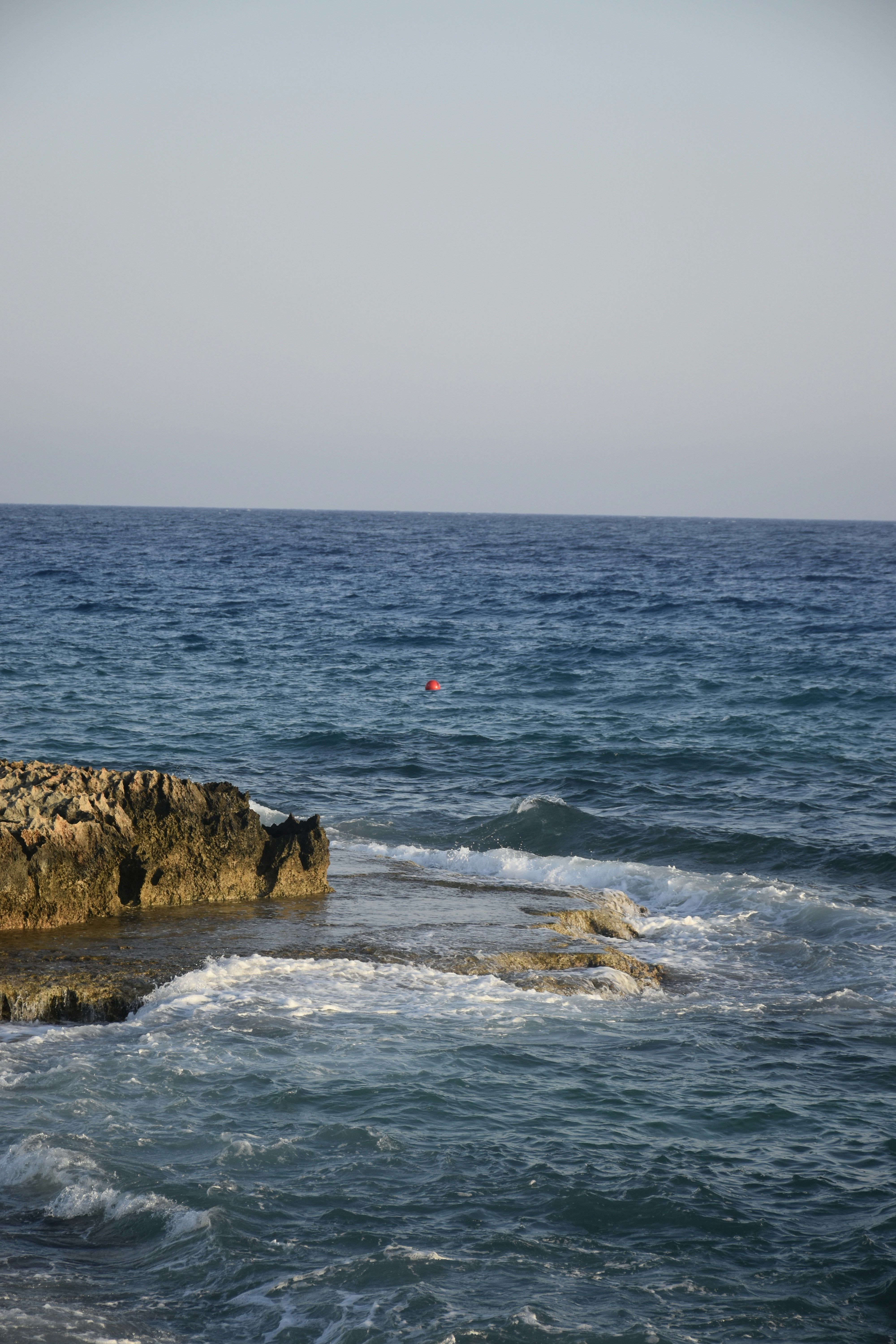 Photo by znphotogarphy