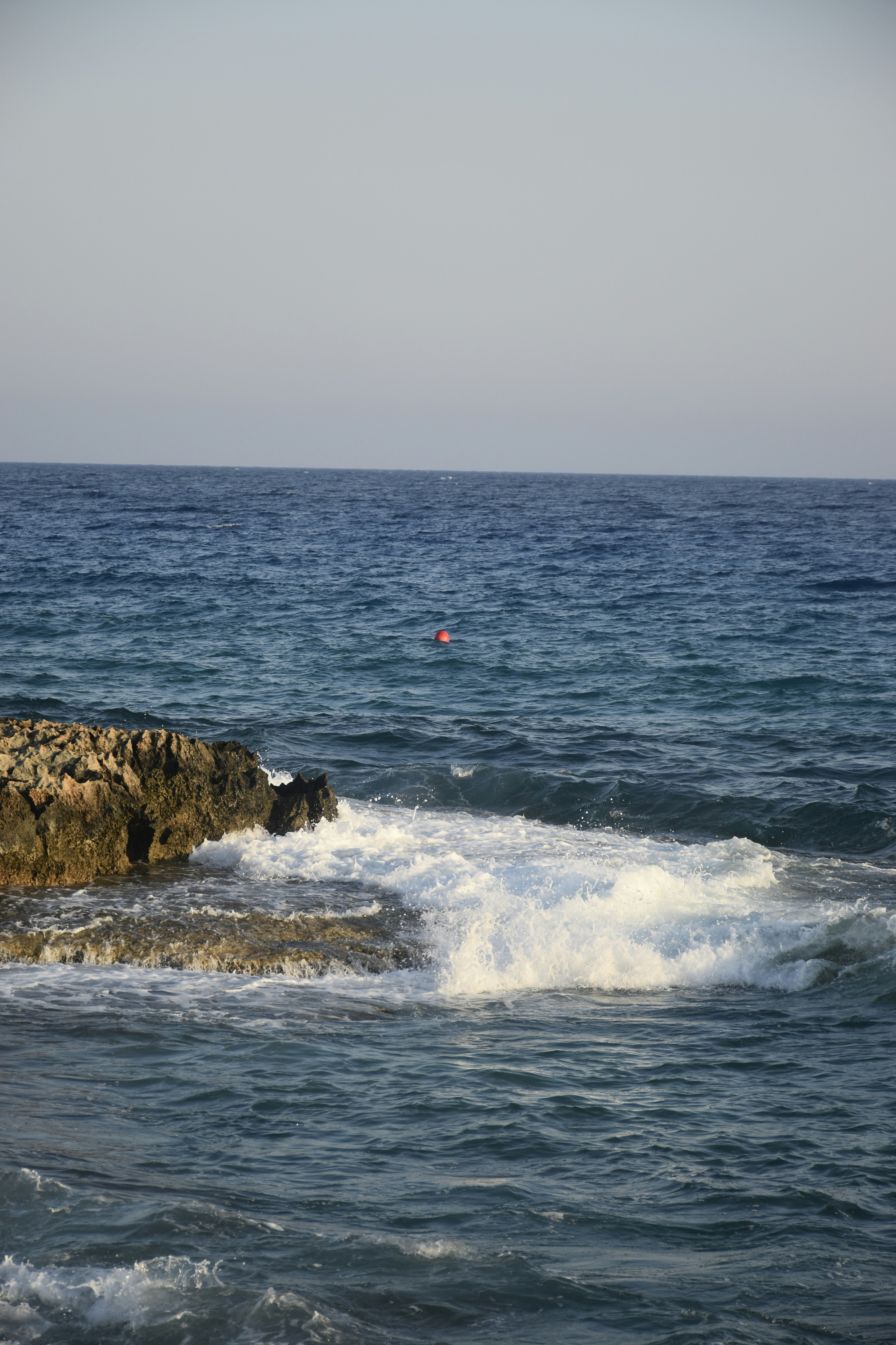 Photo by znphotogarphy