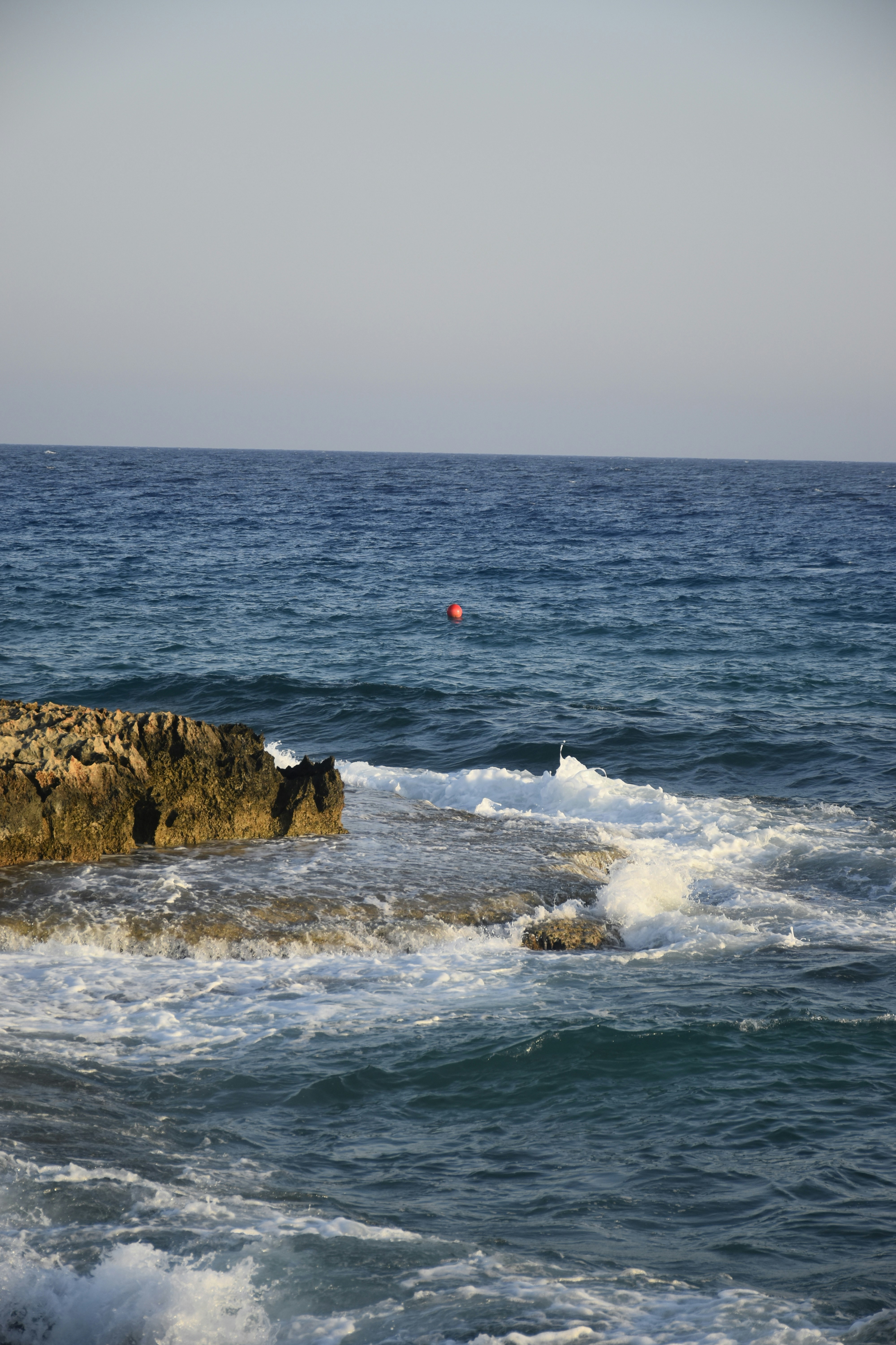 Photo by znphotogarphy