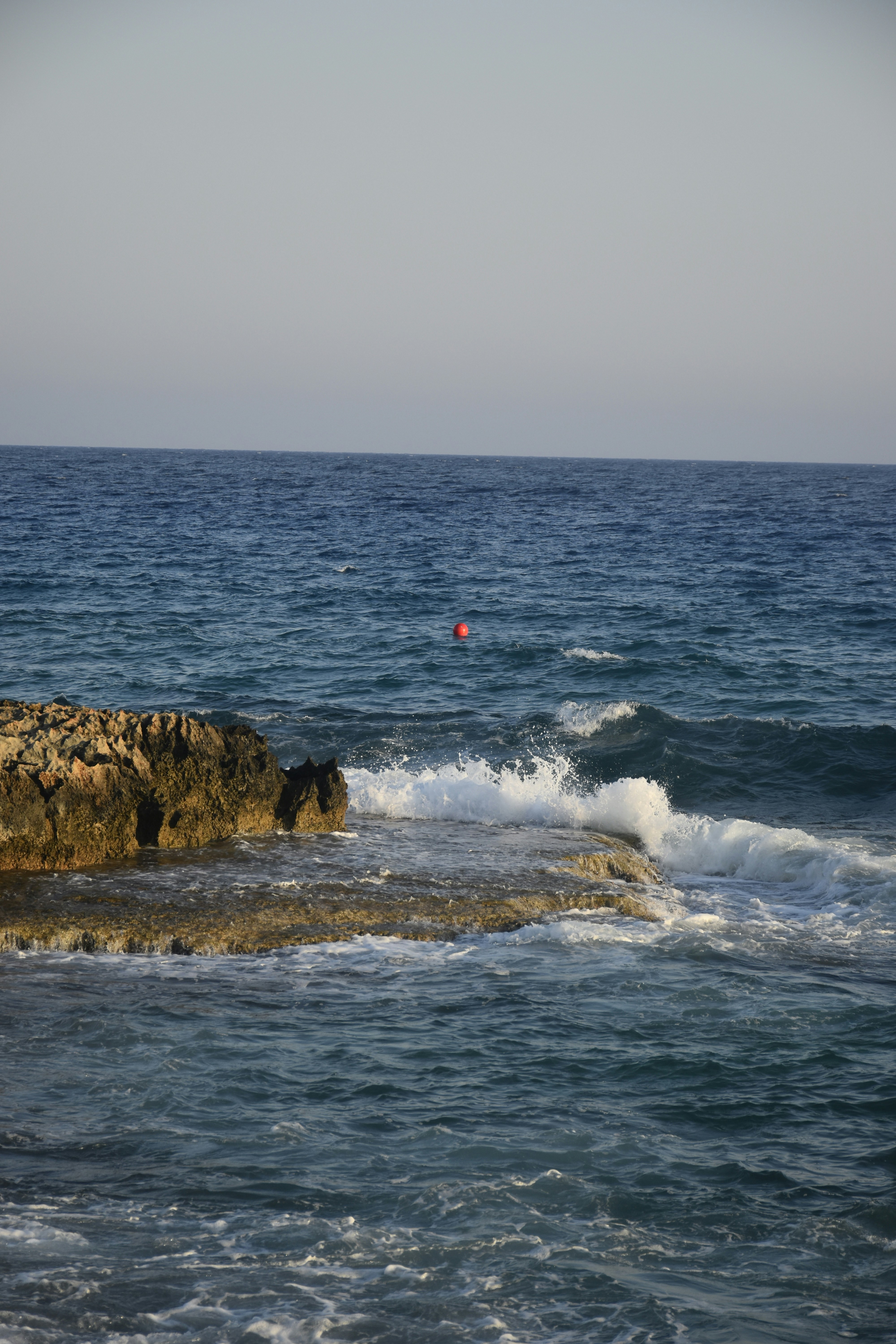 Photo by znphotogarphy