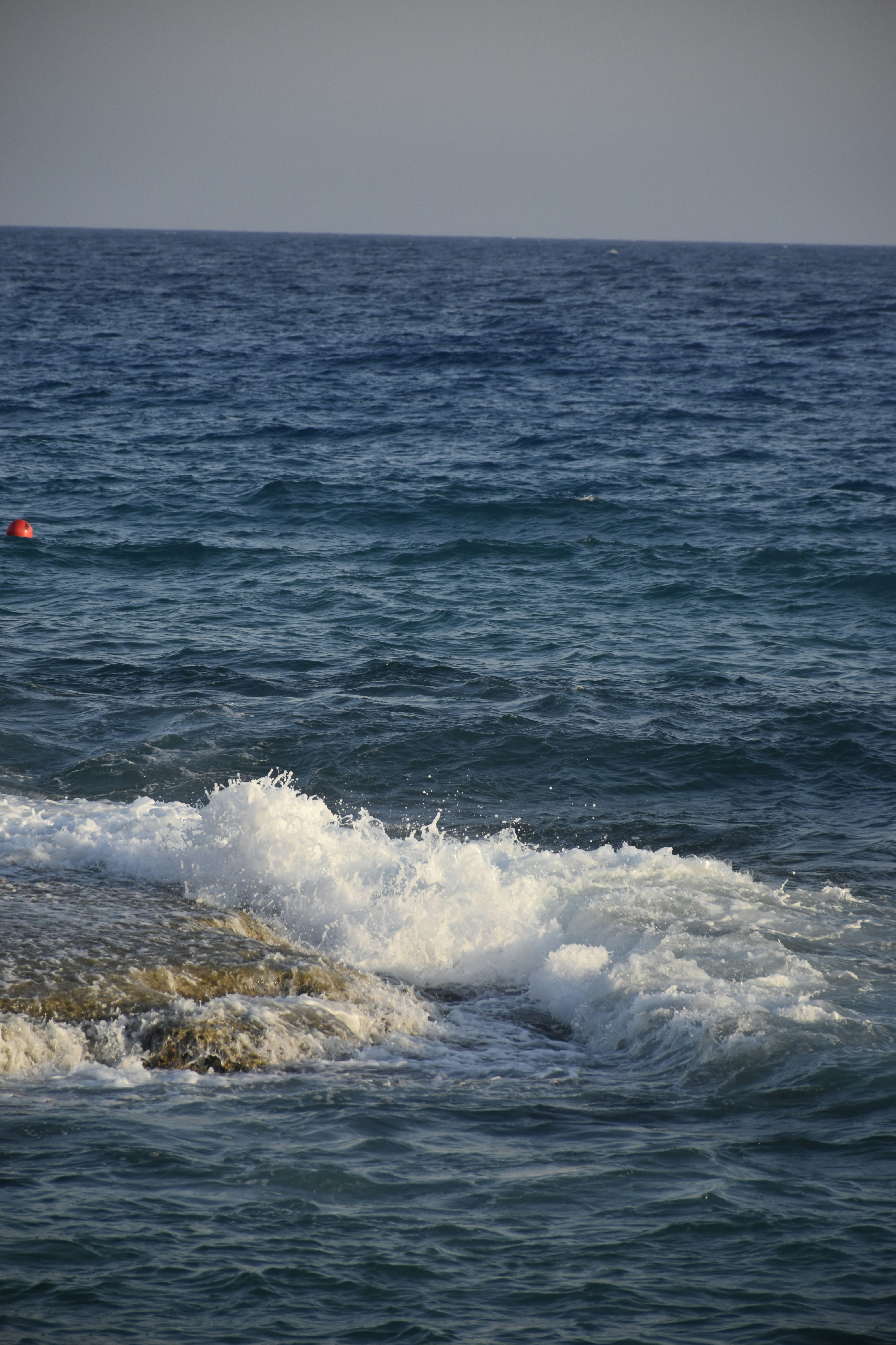 Photo by znphotogarphy