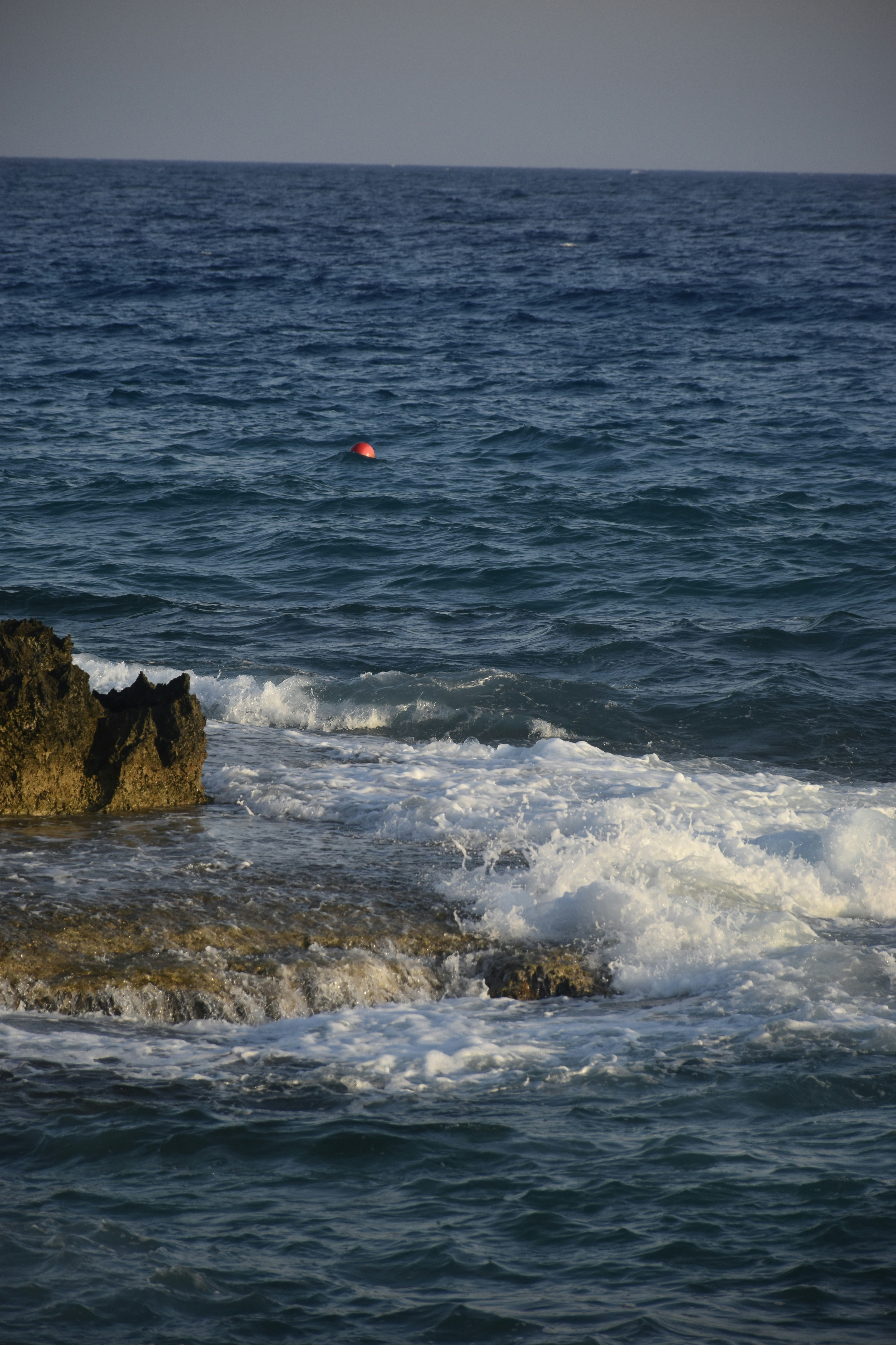 Photo by znphotogarphy