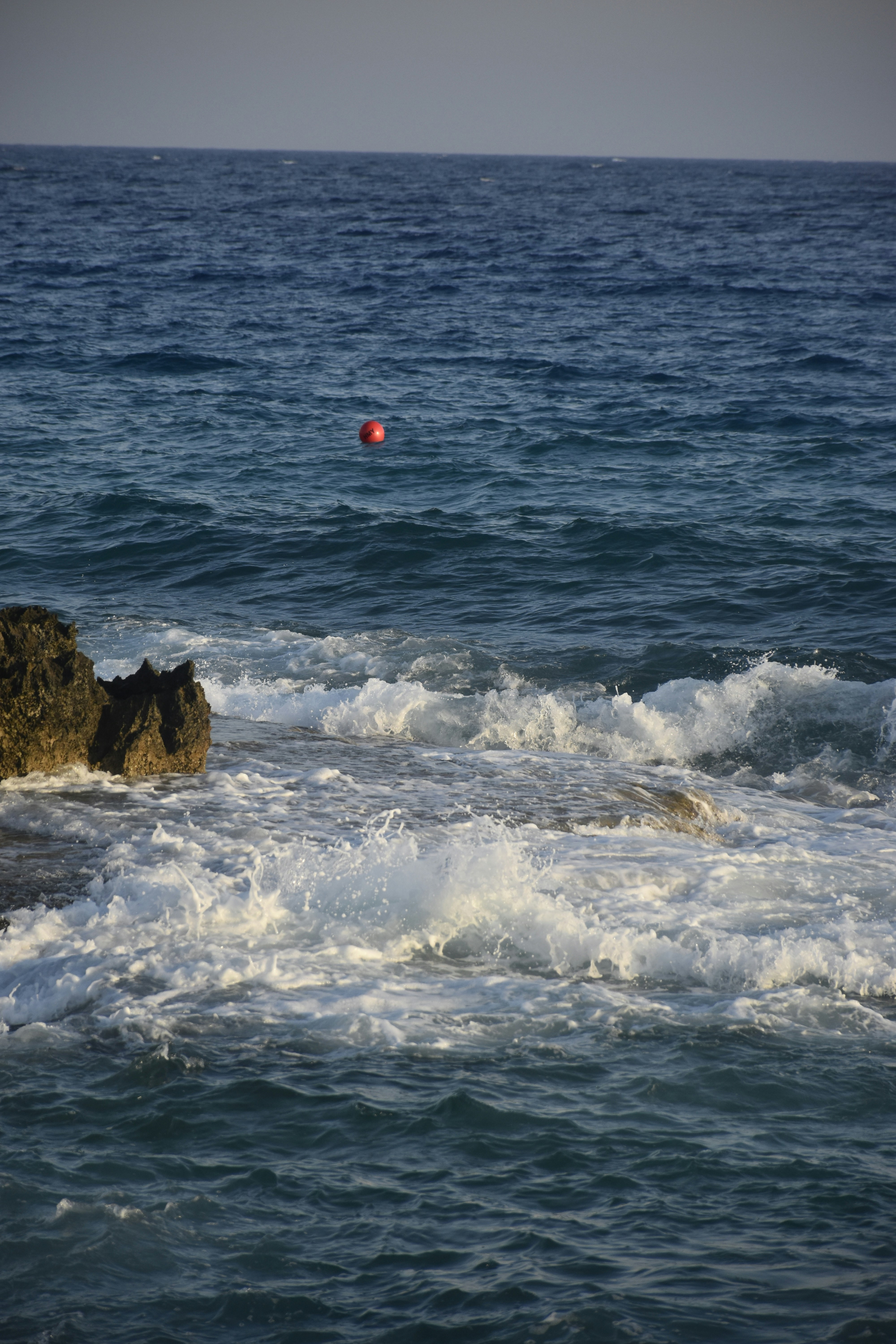 Photo by znphotogarphy