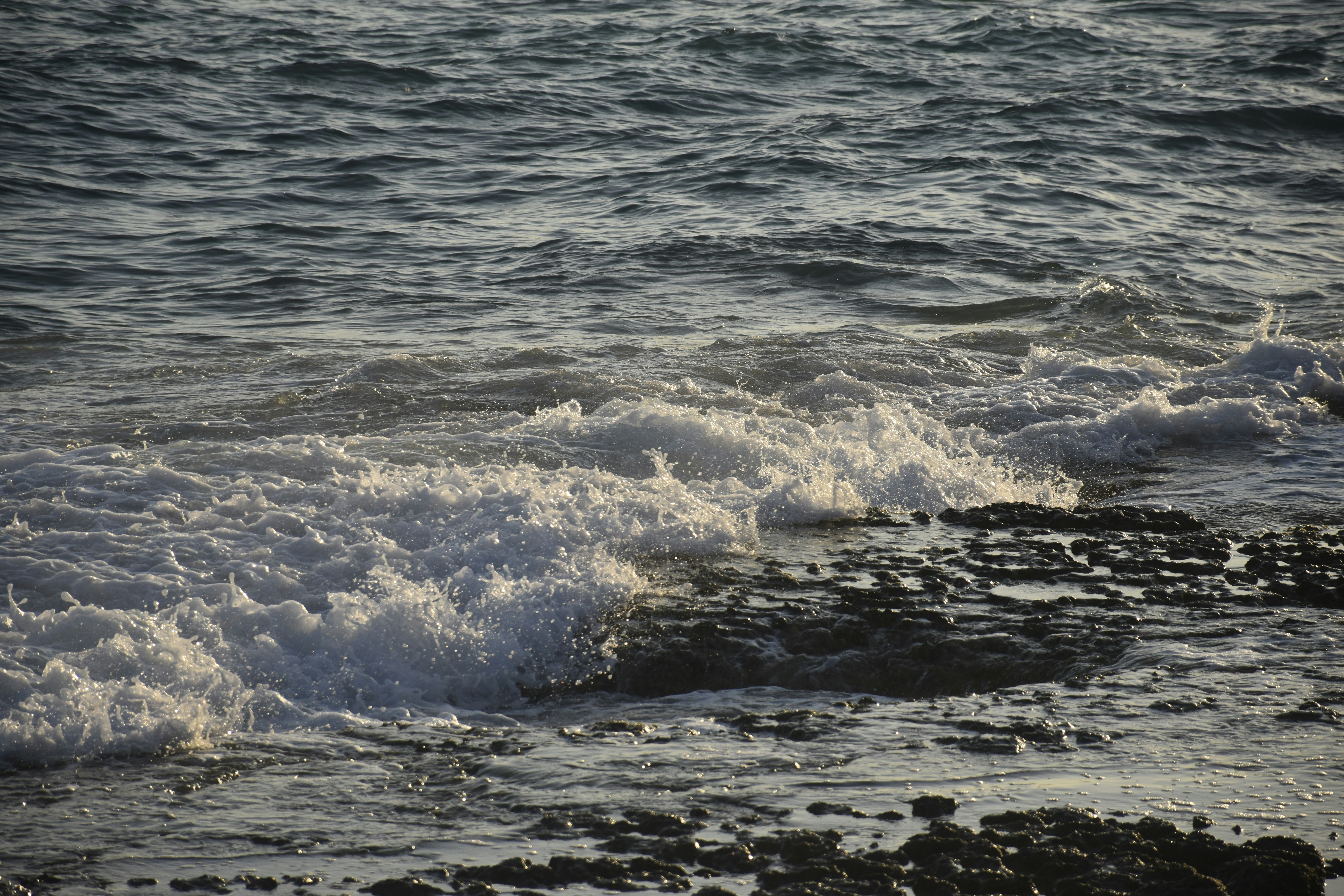 Photo by znphotogarphy