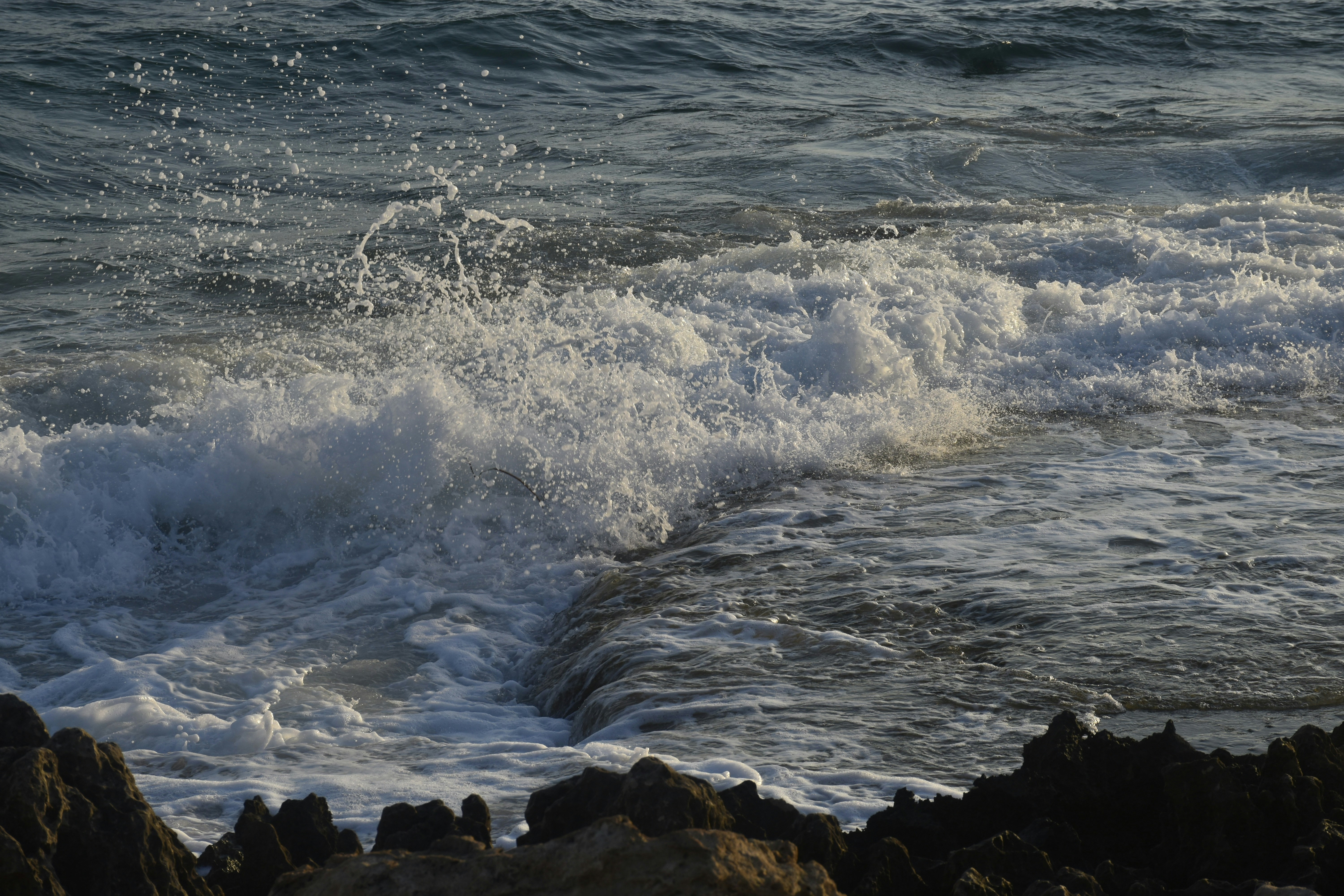 Photo by znphotogarphy