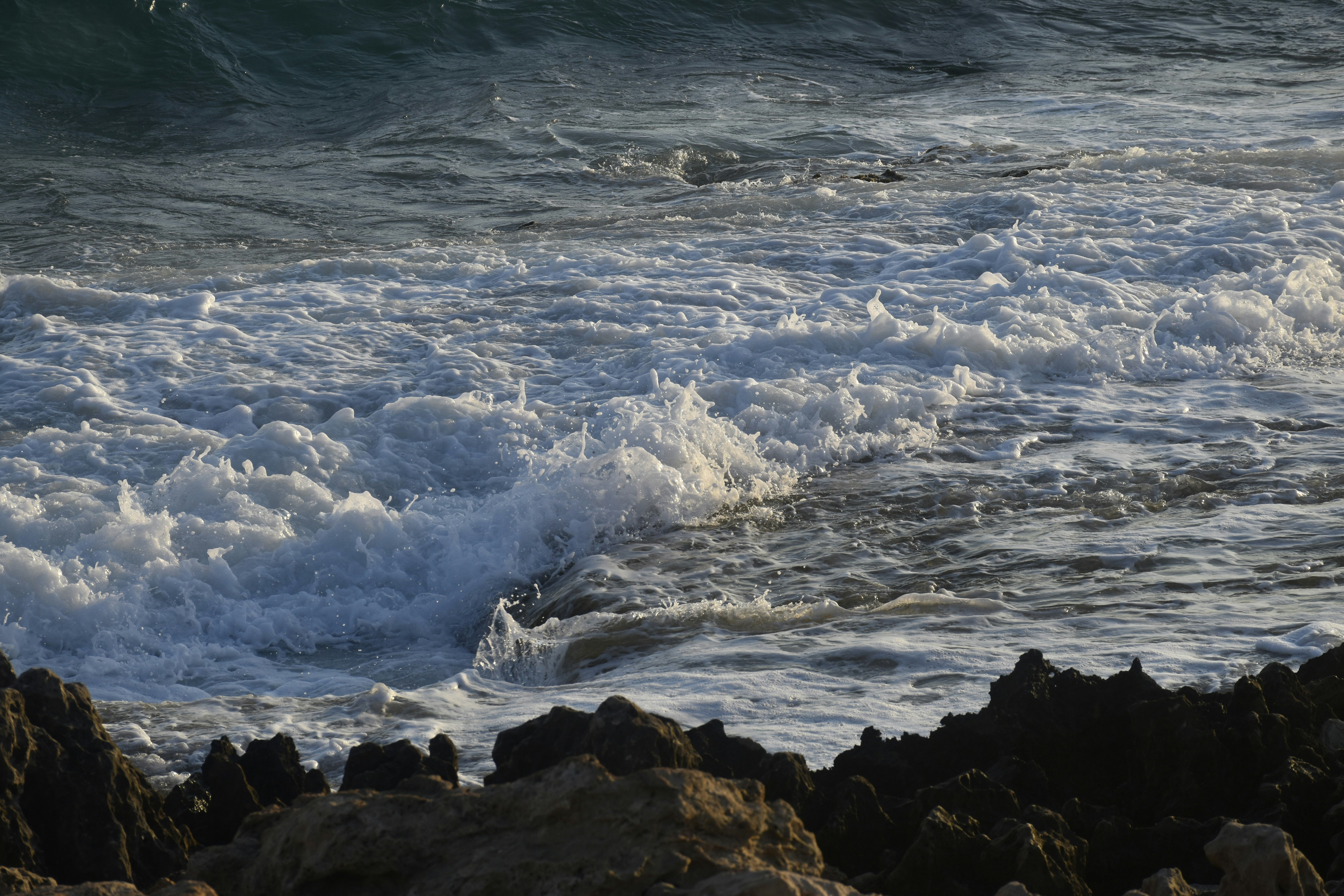 Photo by znphotogarphy