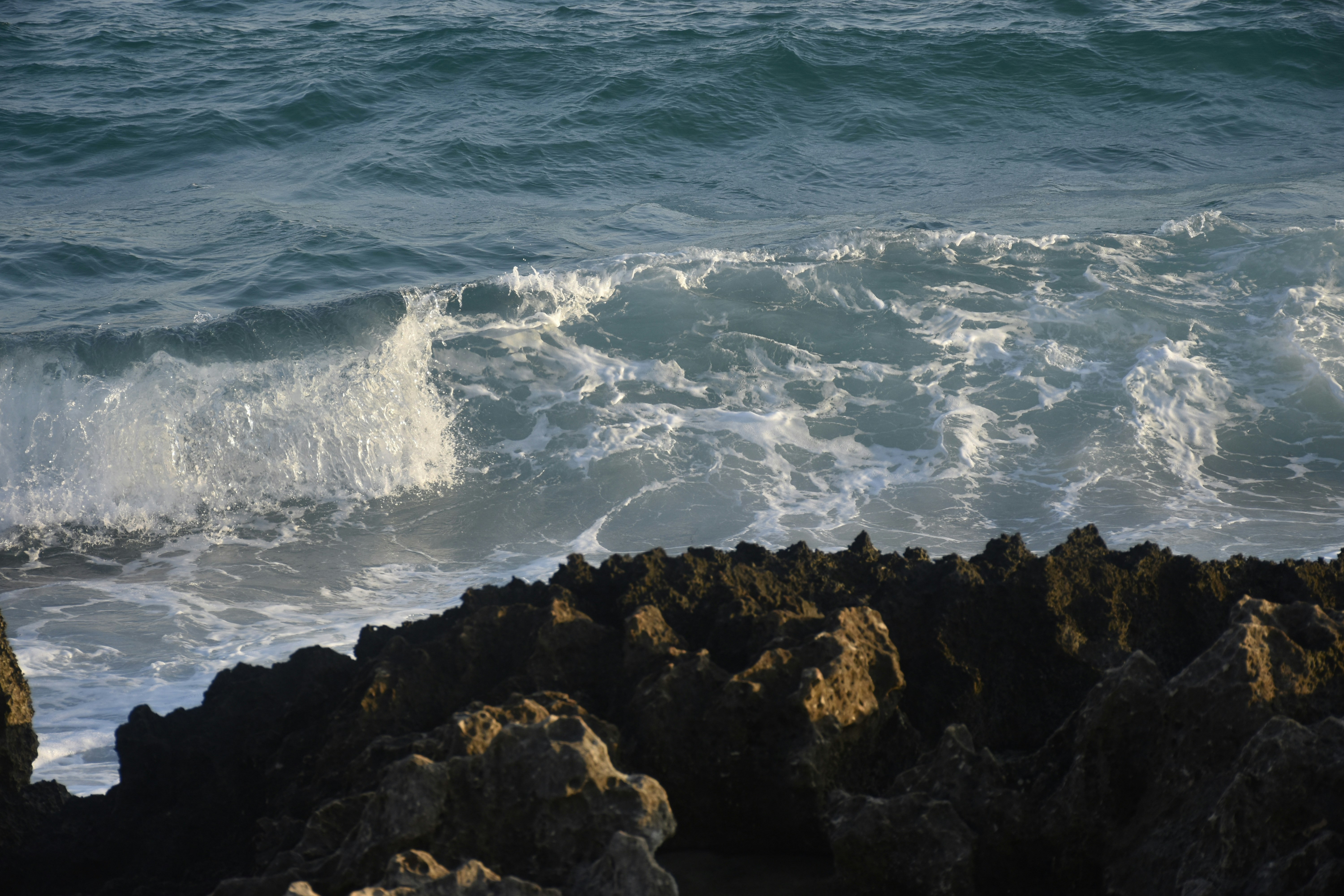 Photo by znphotogarphy