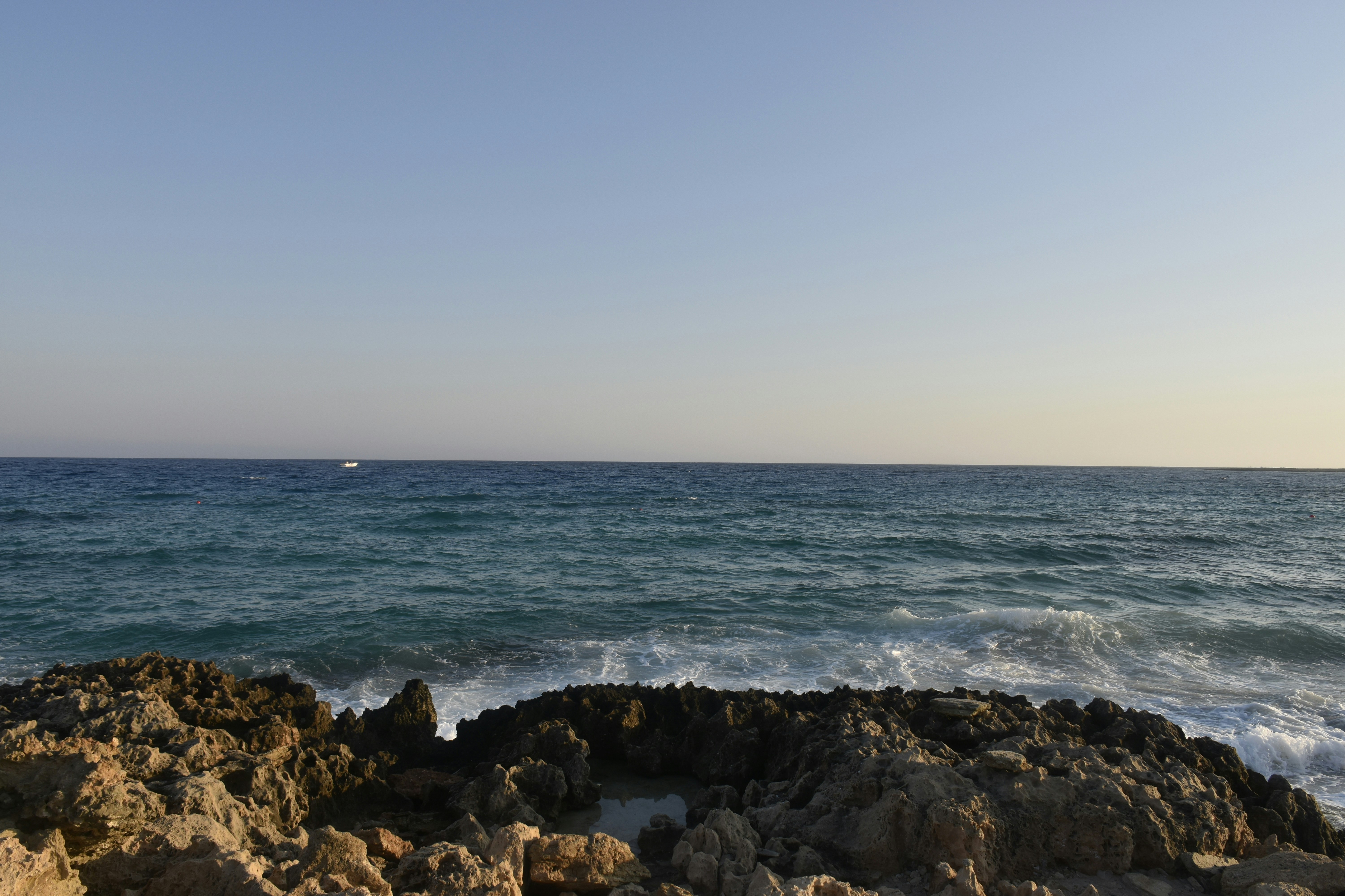 Photo by znphotogarphy