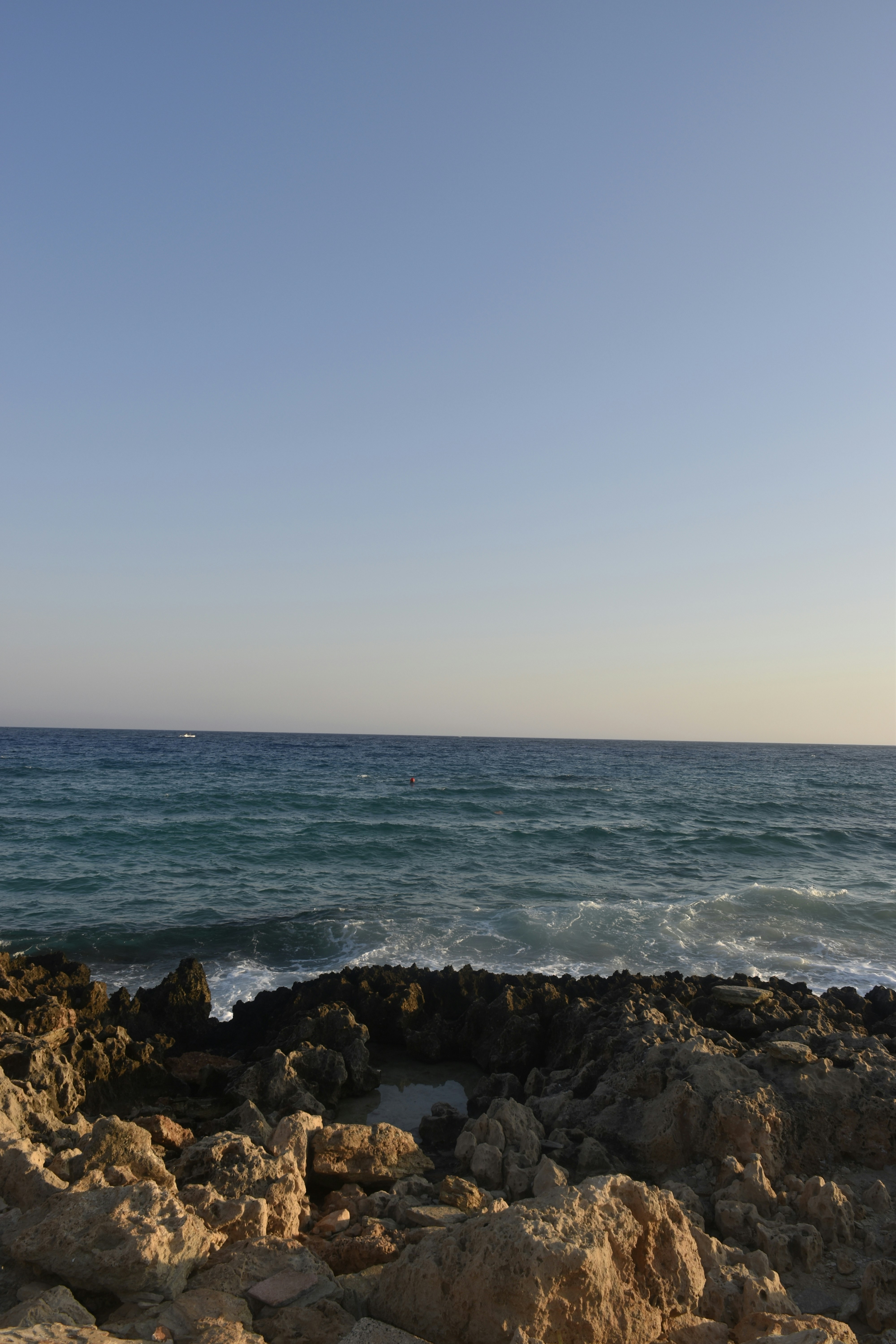 Photo by znphotogarphy