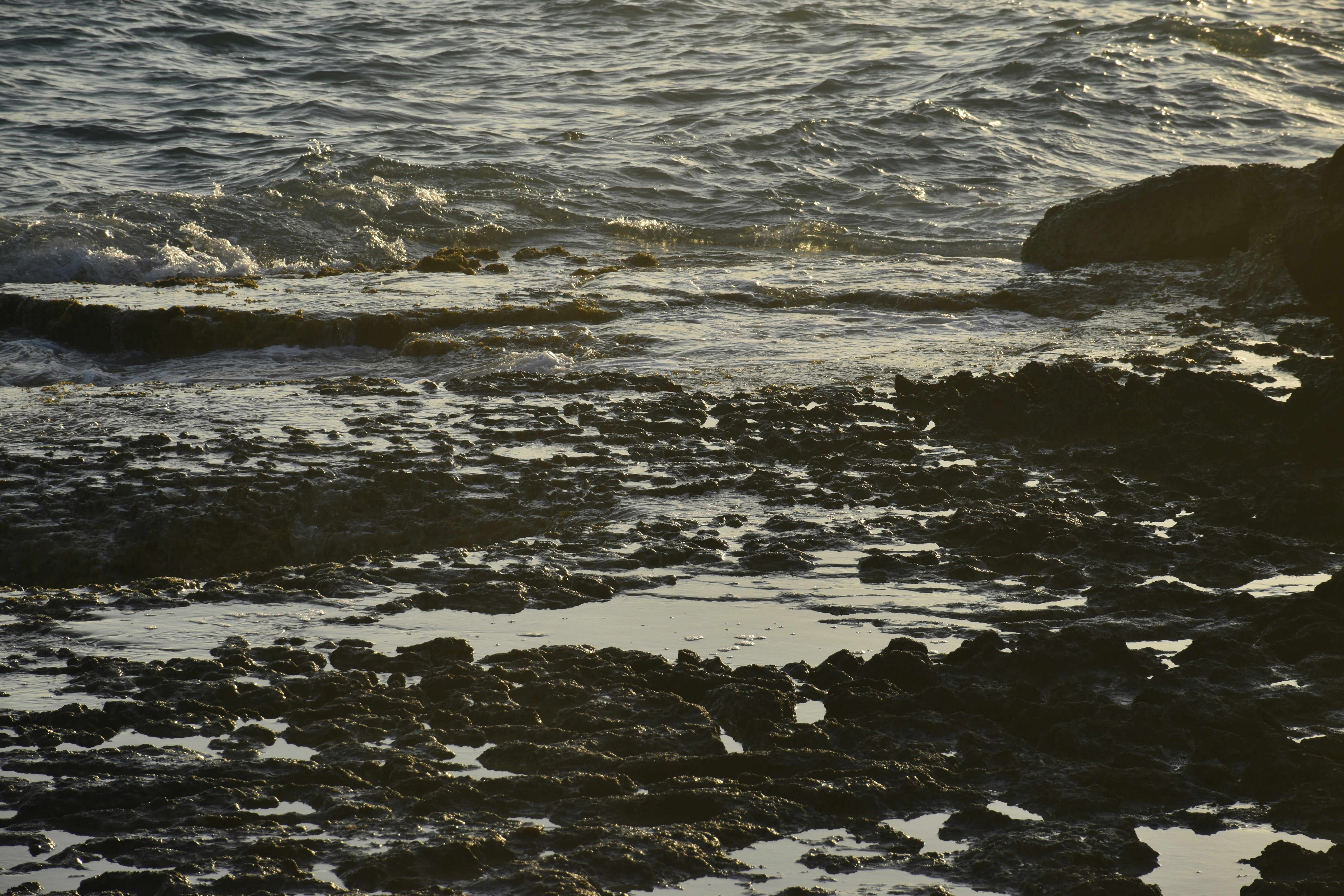 Photo by znphotogarphy