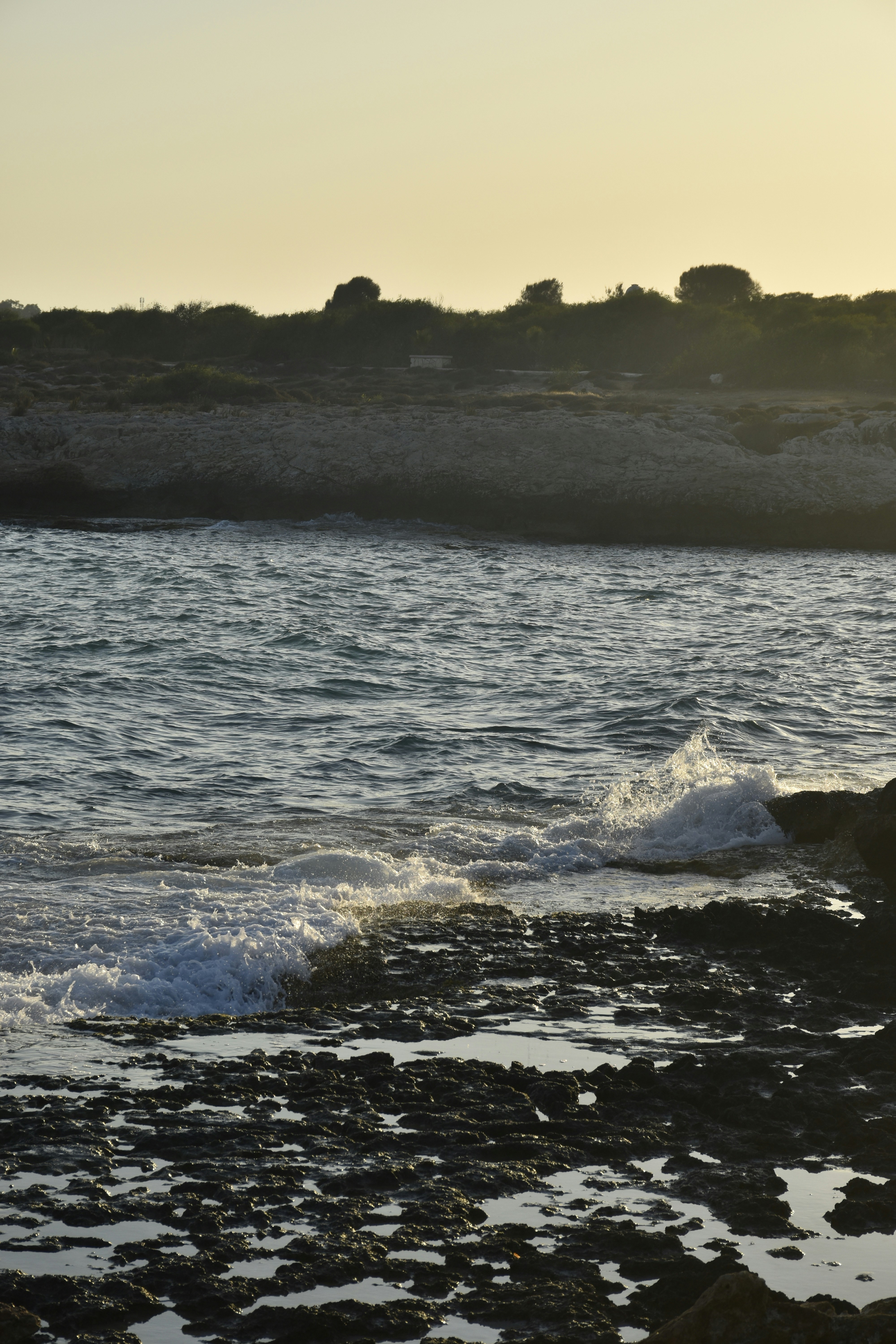 Photo by znphotogarphy